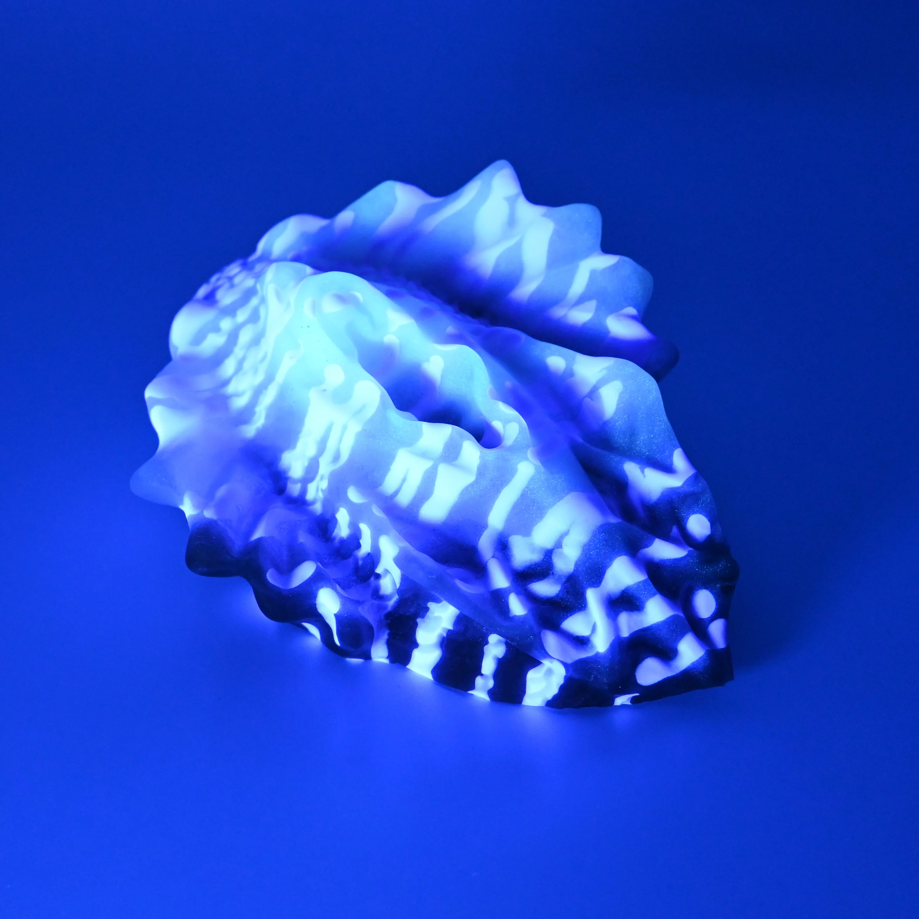 C2SFN83 Calypso Small 0030 UV GITD - Image 3