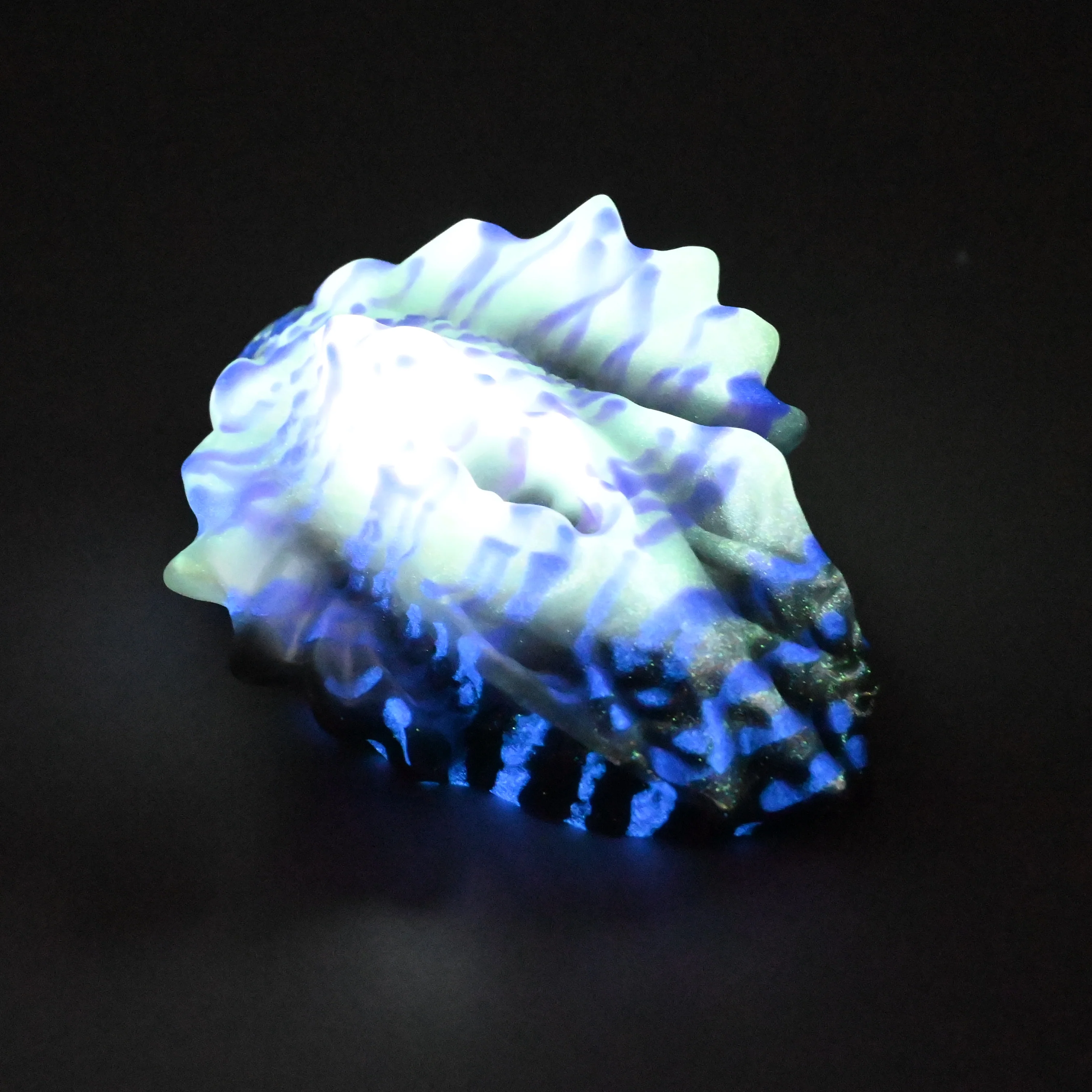 C2SFN83 Calypso Small 0030 UV GITD - Image 4