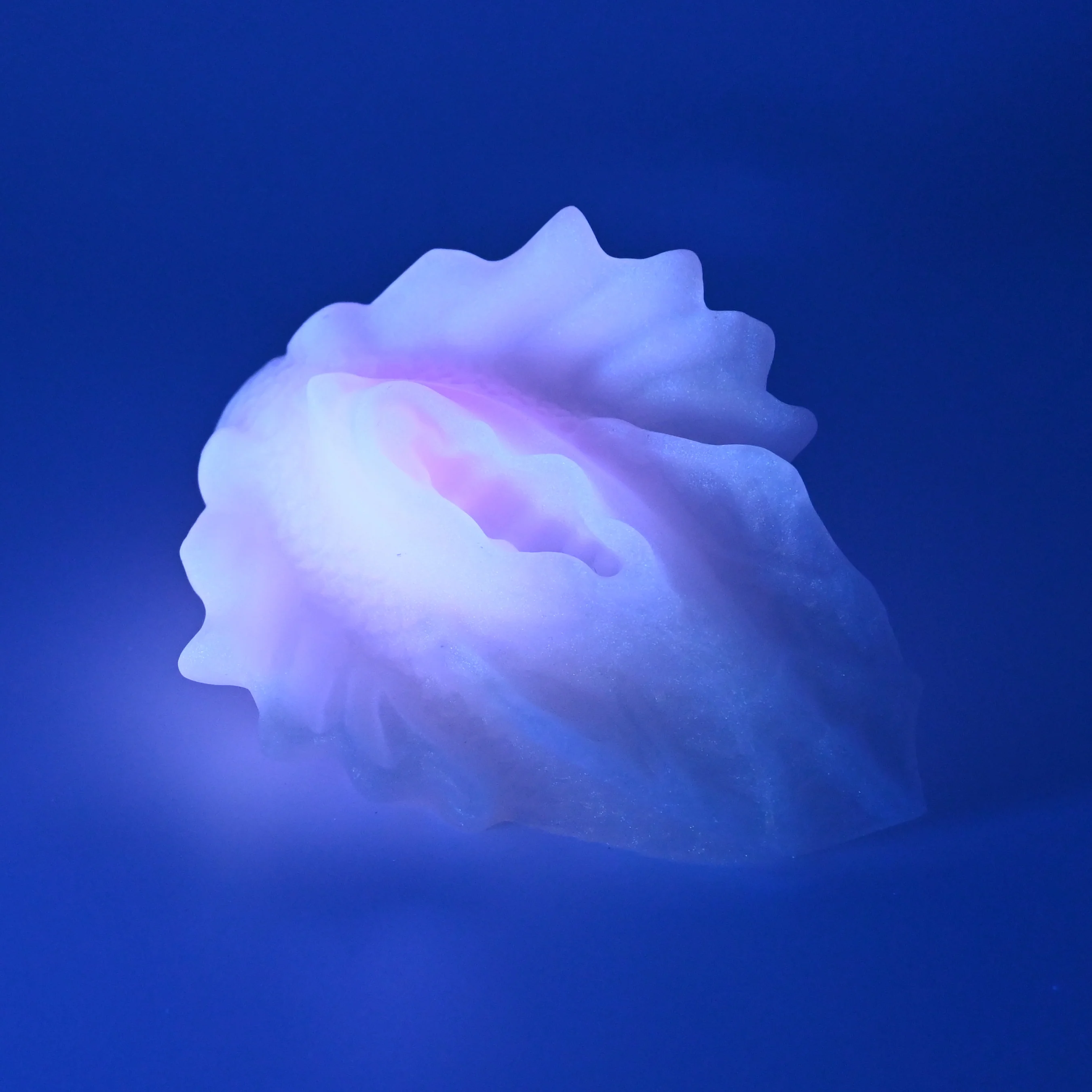 C2SFQ59 Calypso Small 0030 UV GITD - Image 3