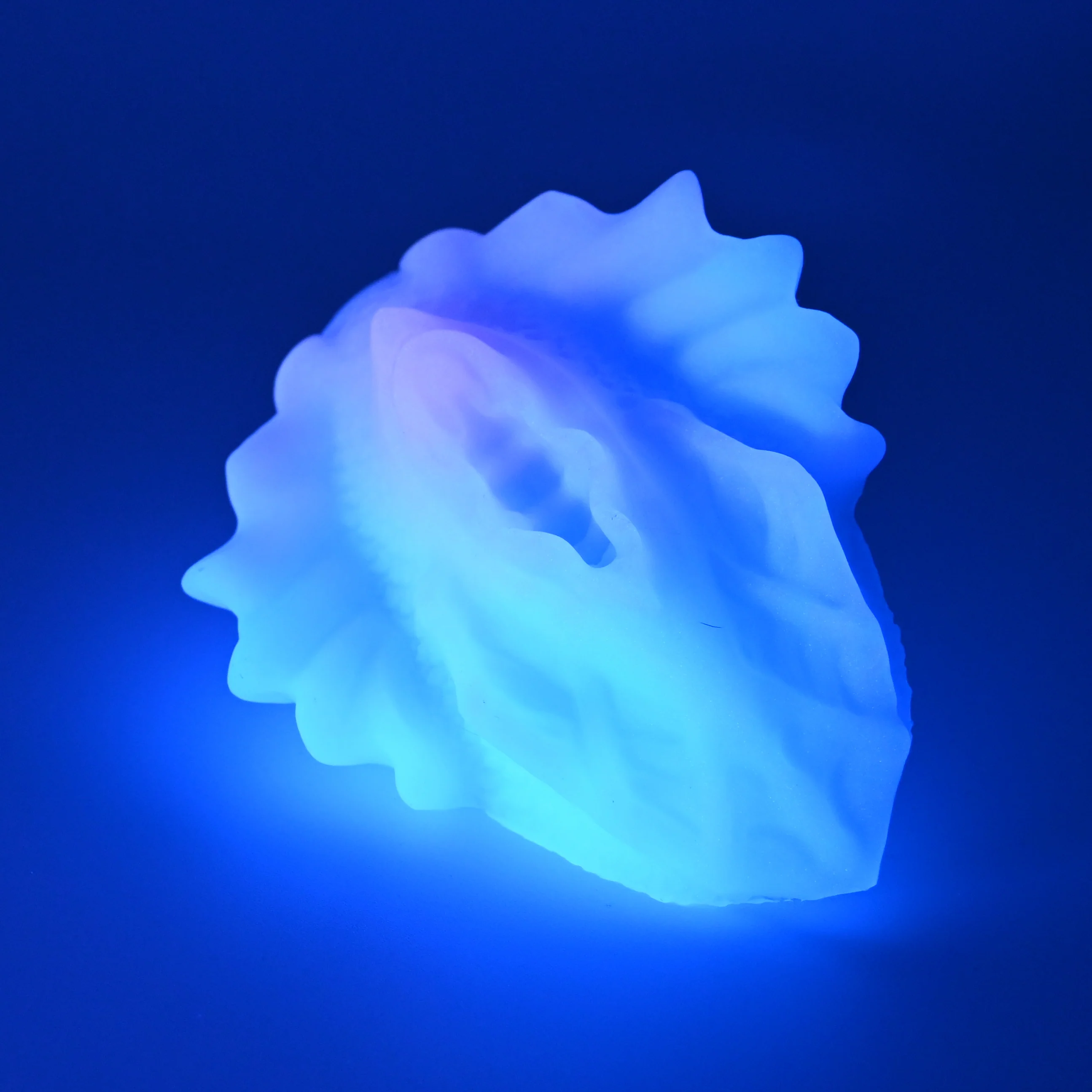 C2SFG60 Calypso Small 0030 UV GITD - Image 3