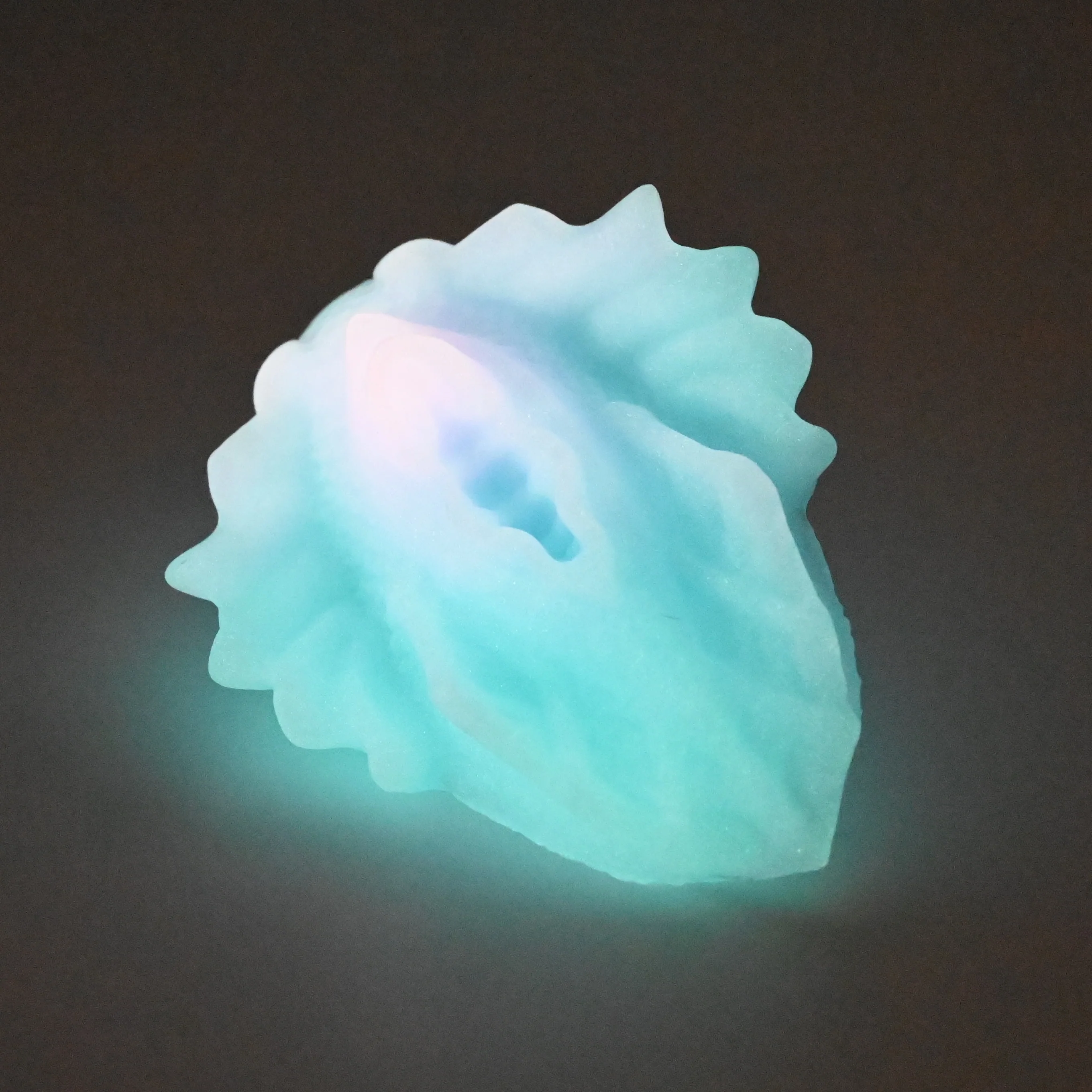 C2SFG60 Calypso Small 0030 UV GITD - Image 4