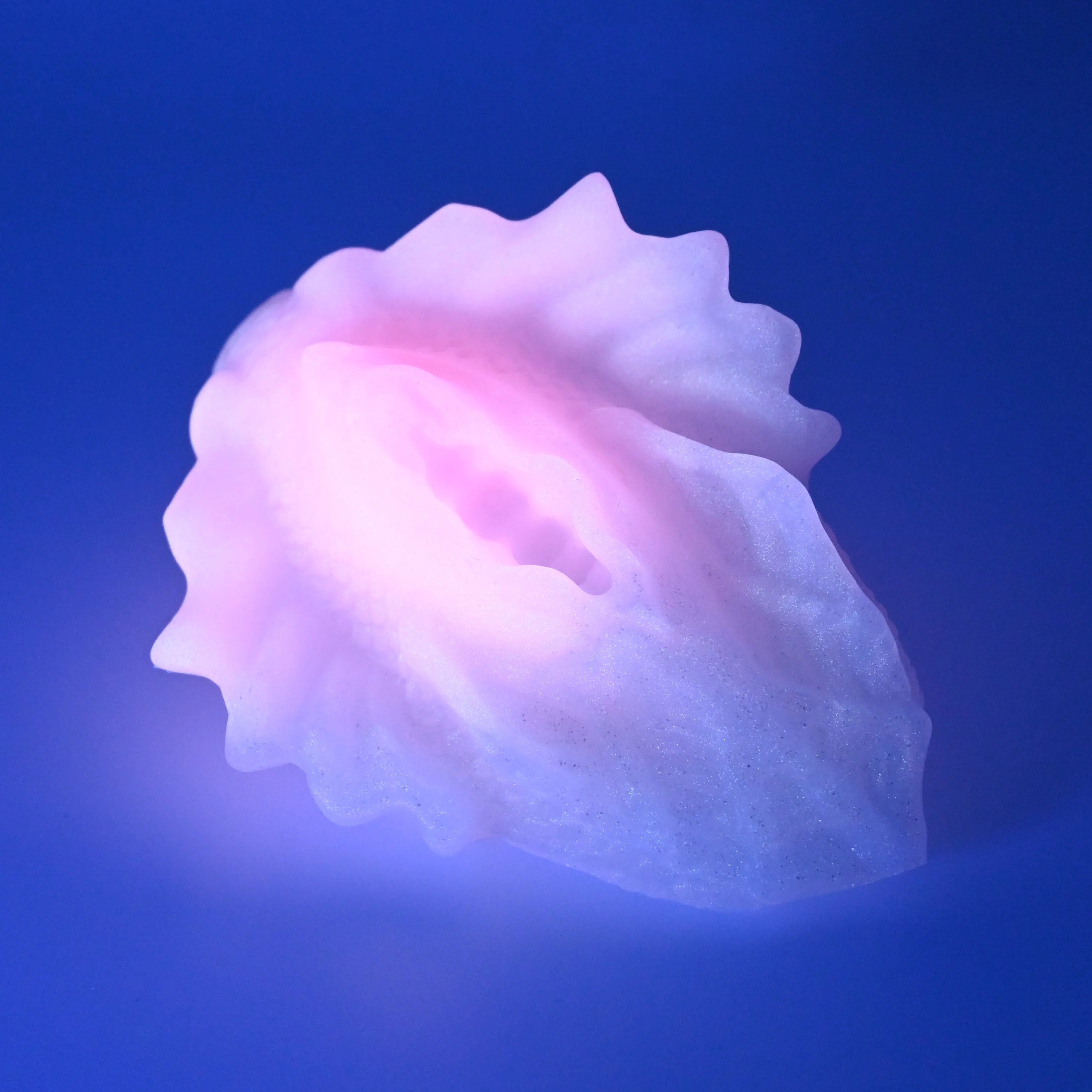 C2SFT85 Calypso Small 0030 UV GITD - Image 3