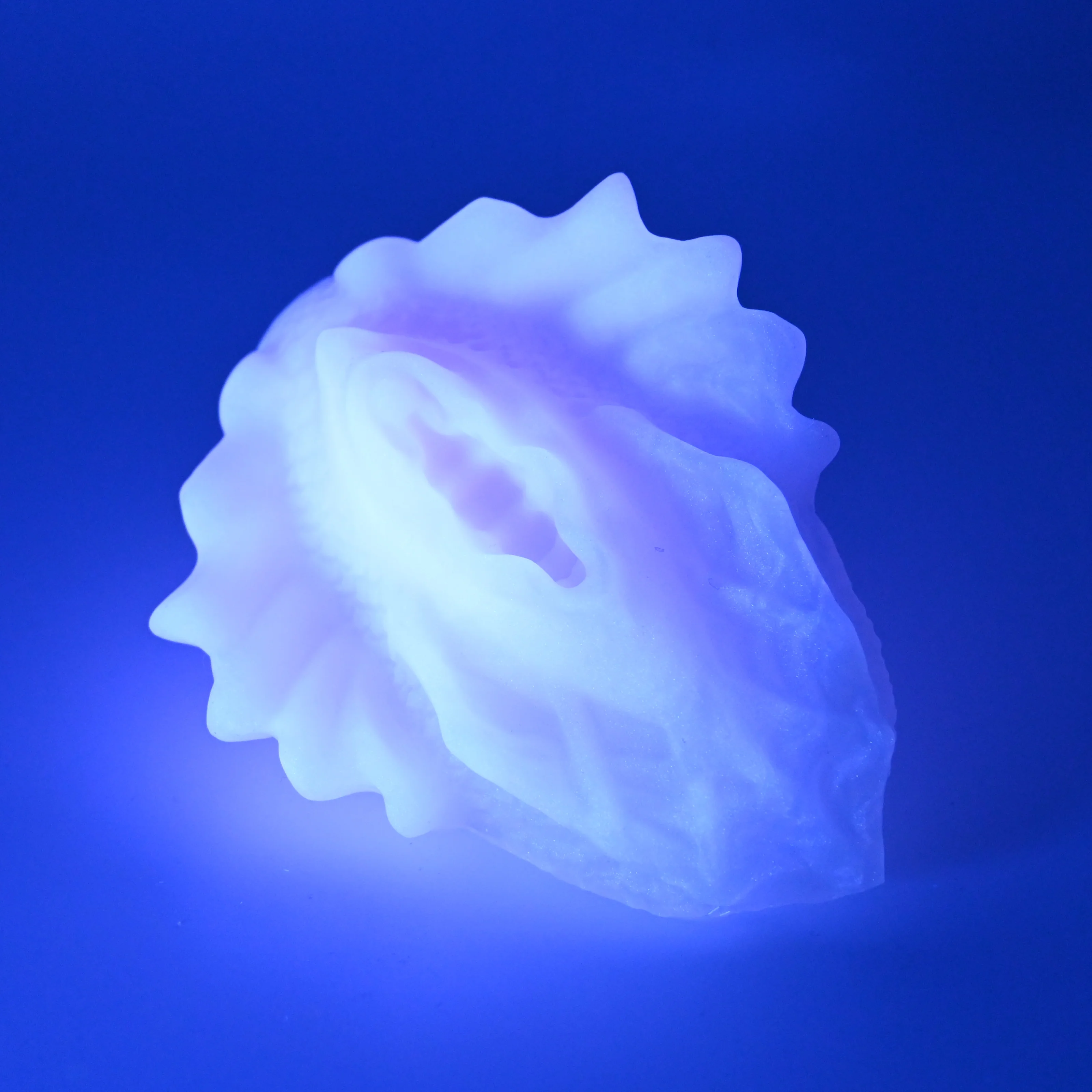 C2SFV84 Calypso Small 0030 UV GITD - Image 3