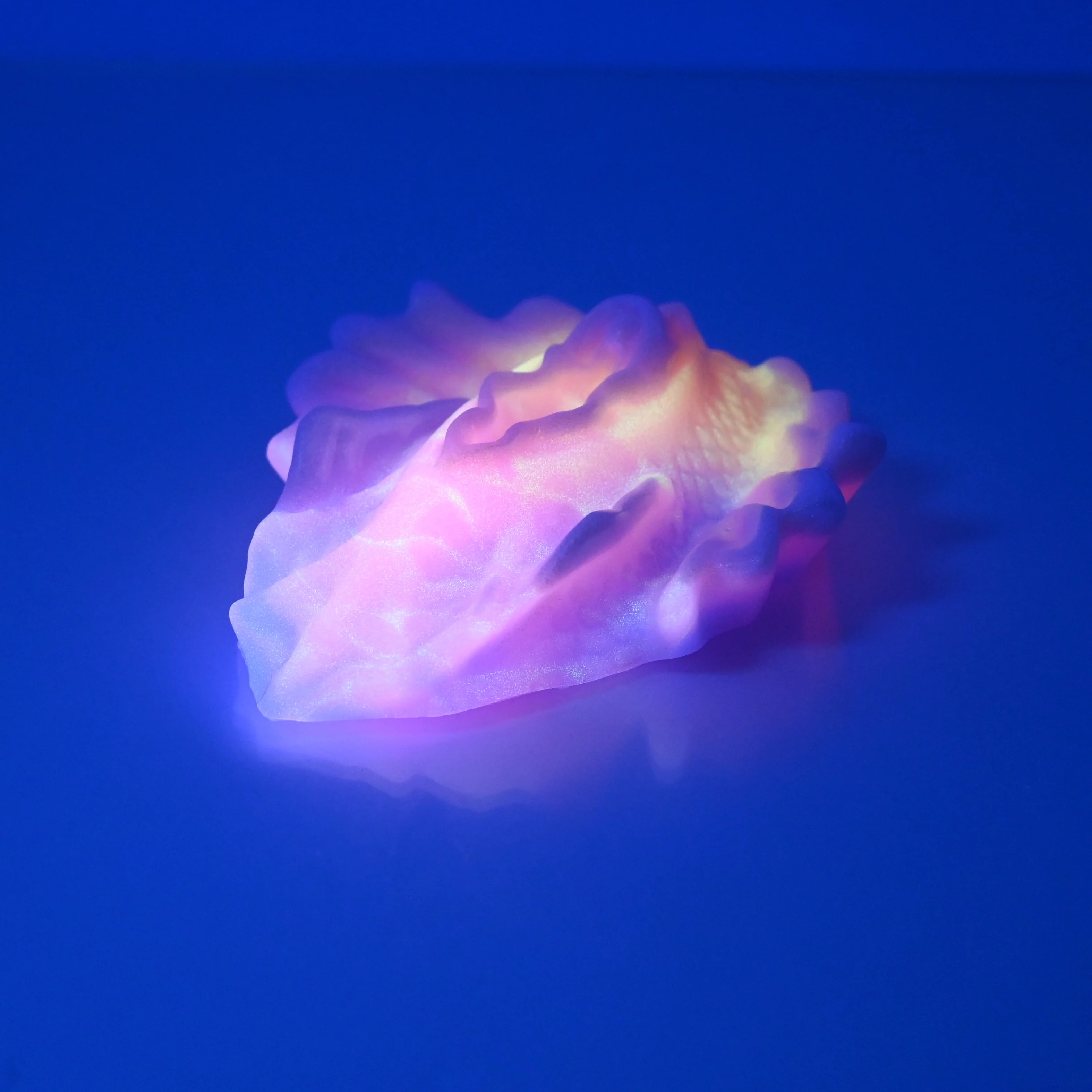 C2MCT55 Calypso Small 0050 UV GITD - Image 3
