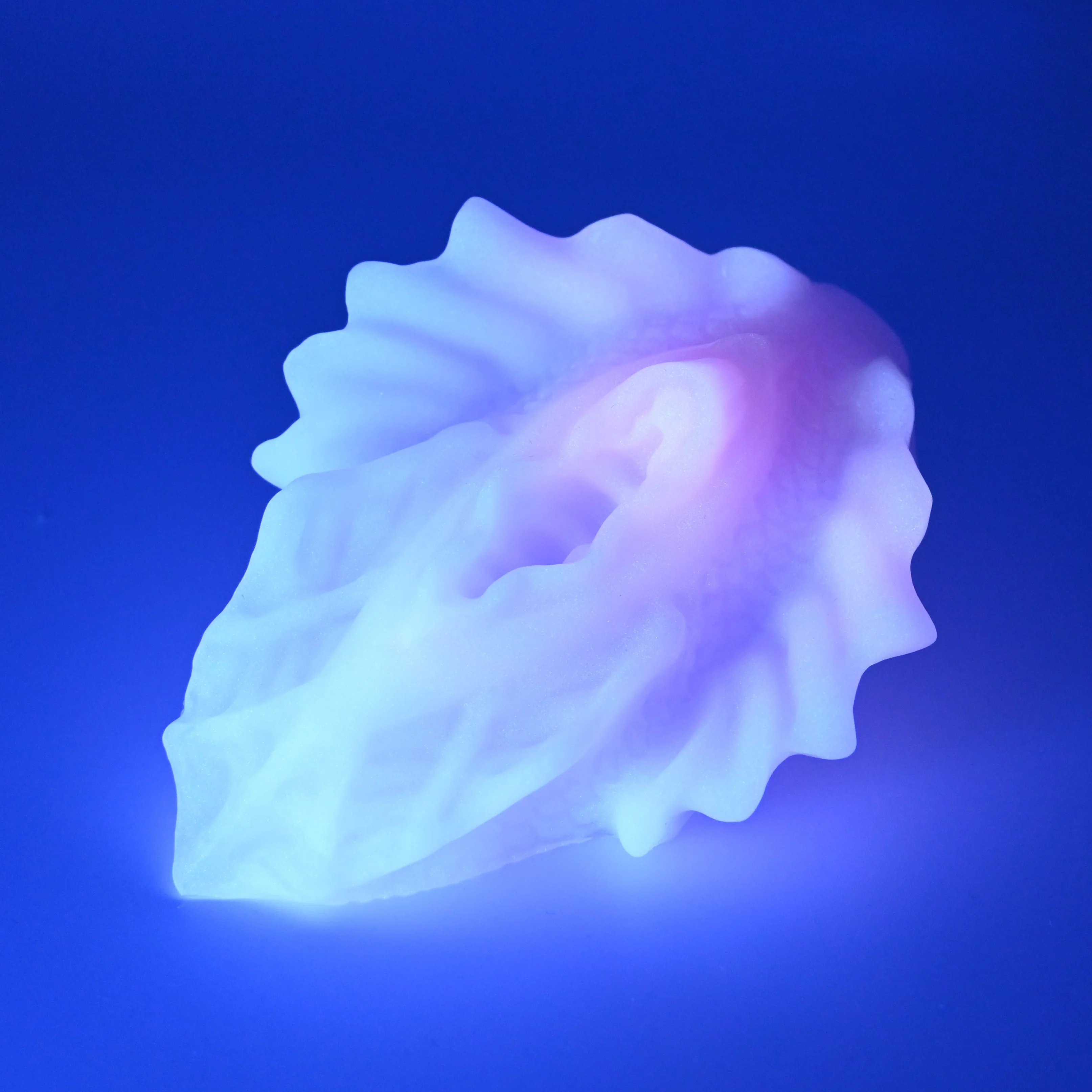 C2MGC54 Calypso Small 0050 UV GITD - Image 3