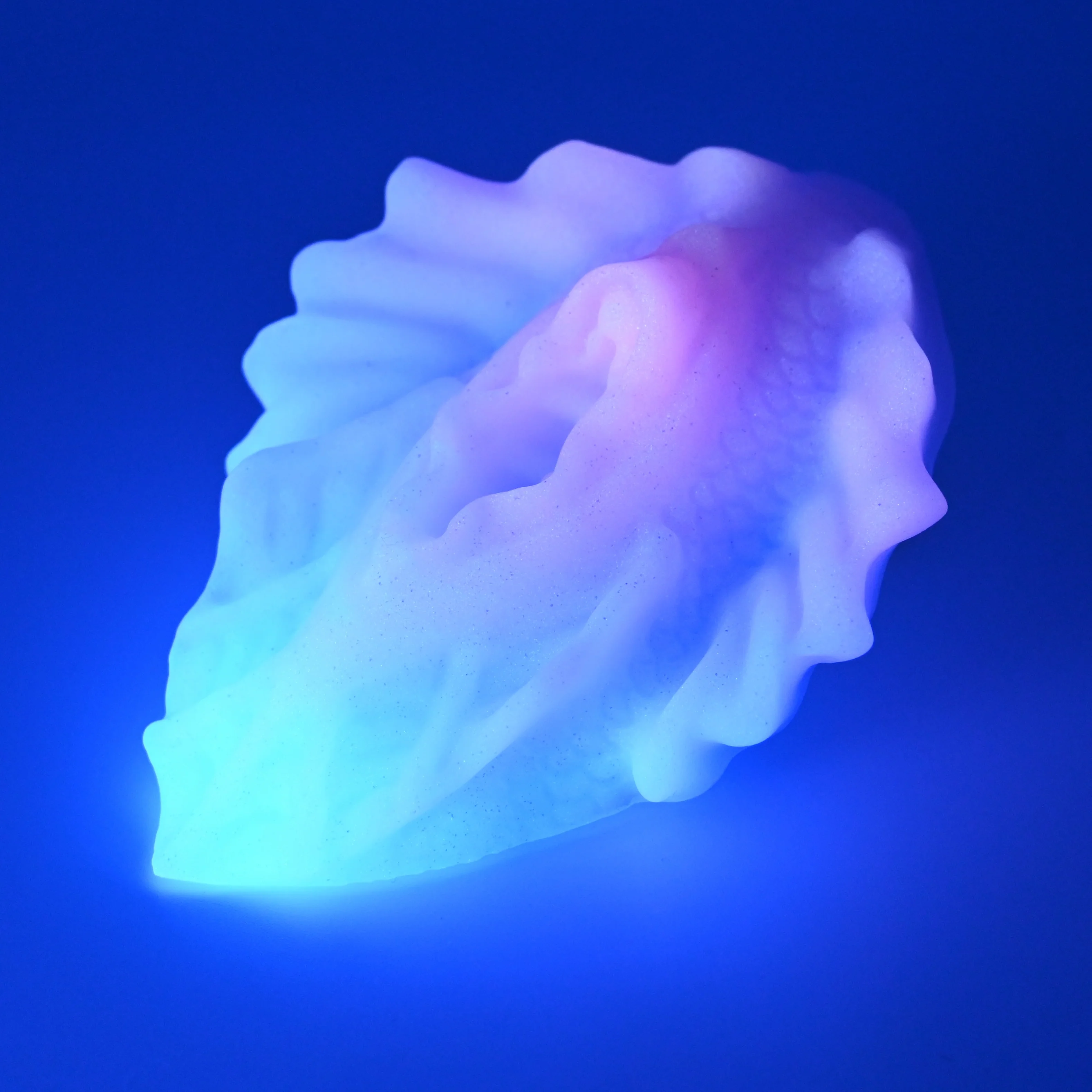 C2SGE28 Calypso Small 0030 UV GITD - Image 3