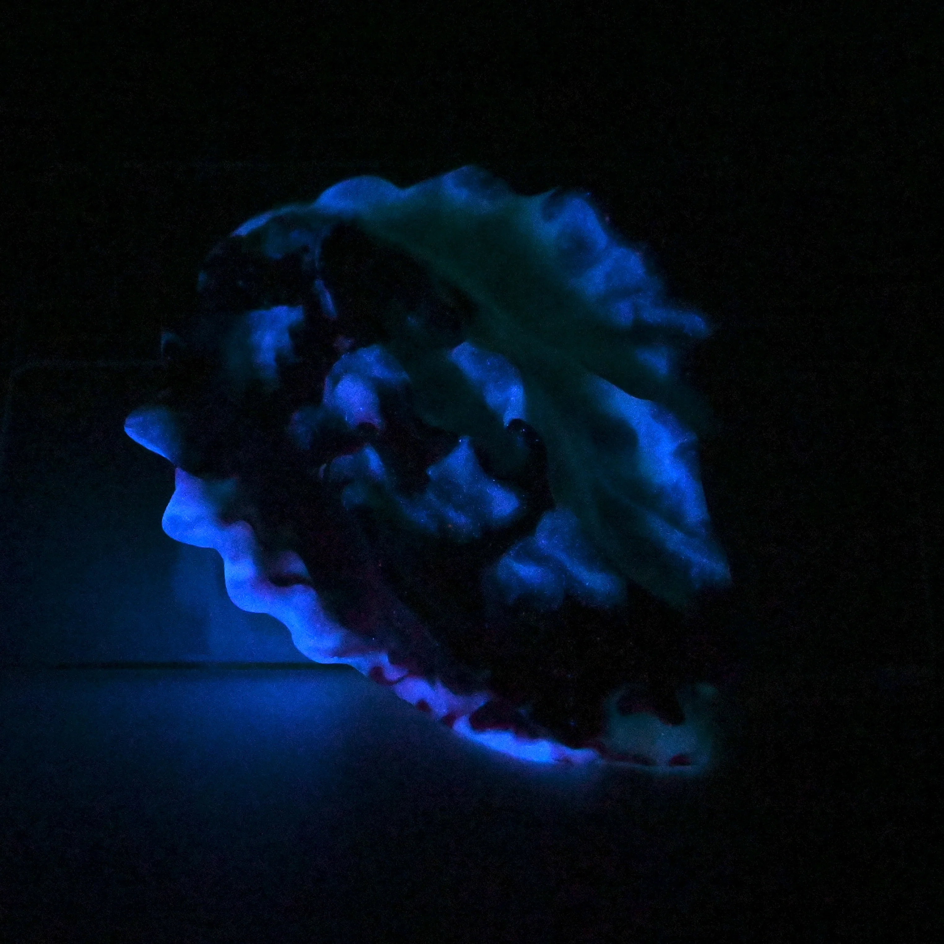 C2MGT23 Calypso Small 0050 UV GITD - Image 4
