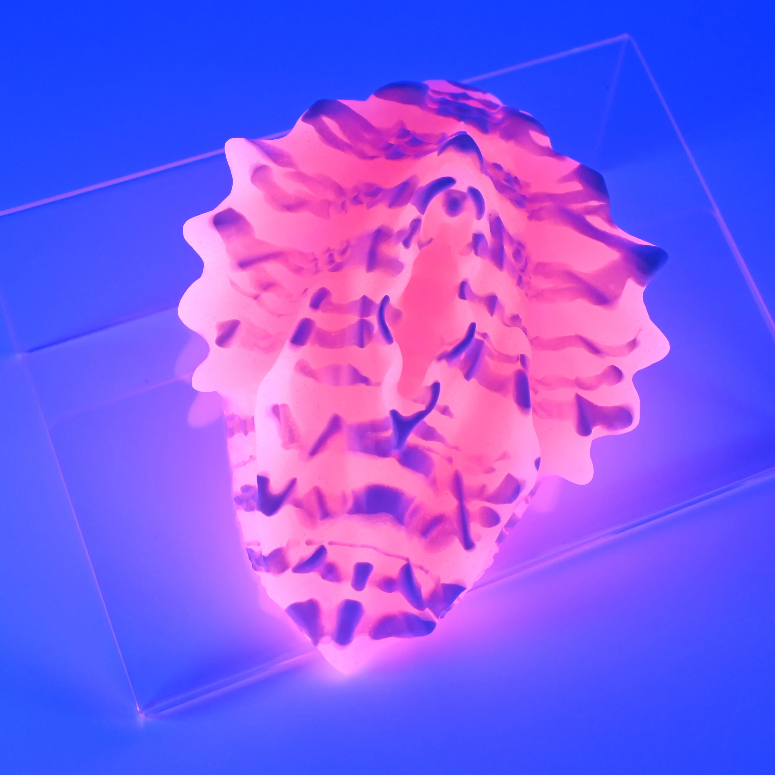 C2SGX89 Calypso Small 0030 UV GITD - Image 3