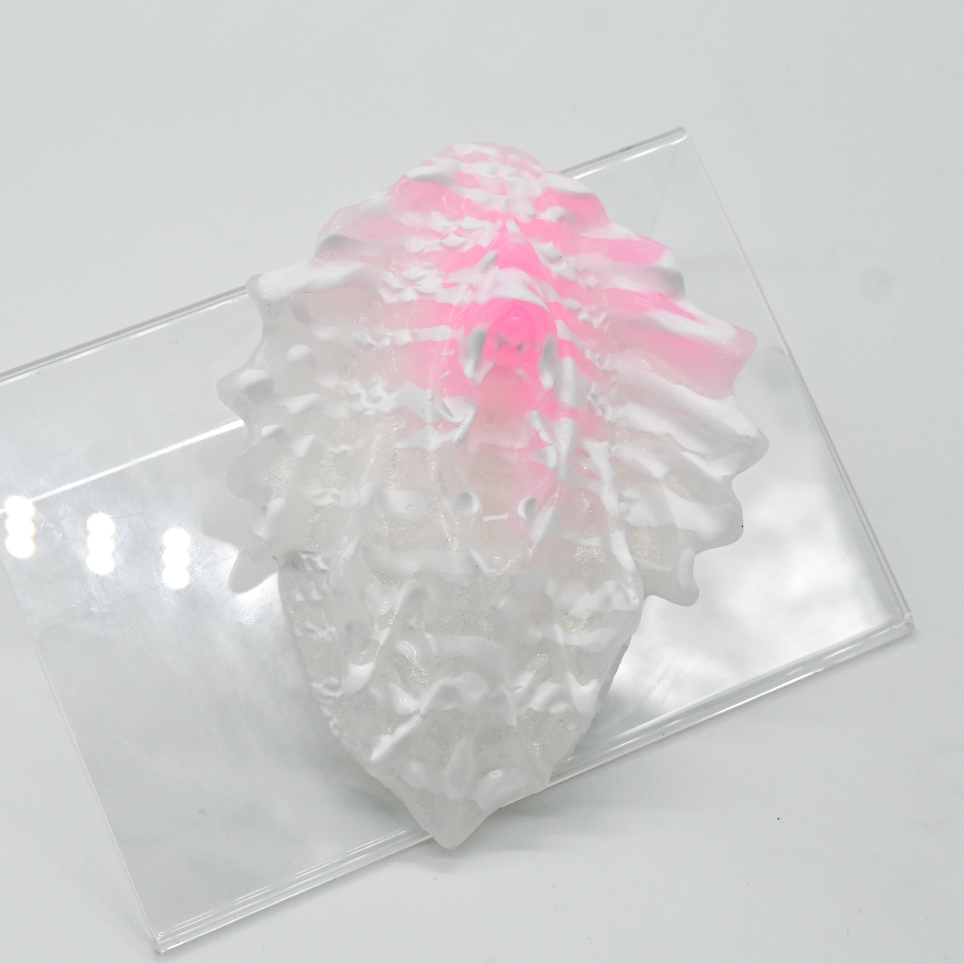 C2SHC40 Calypso Small 0030 UV GITD - Image 2