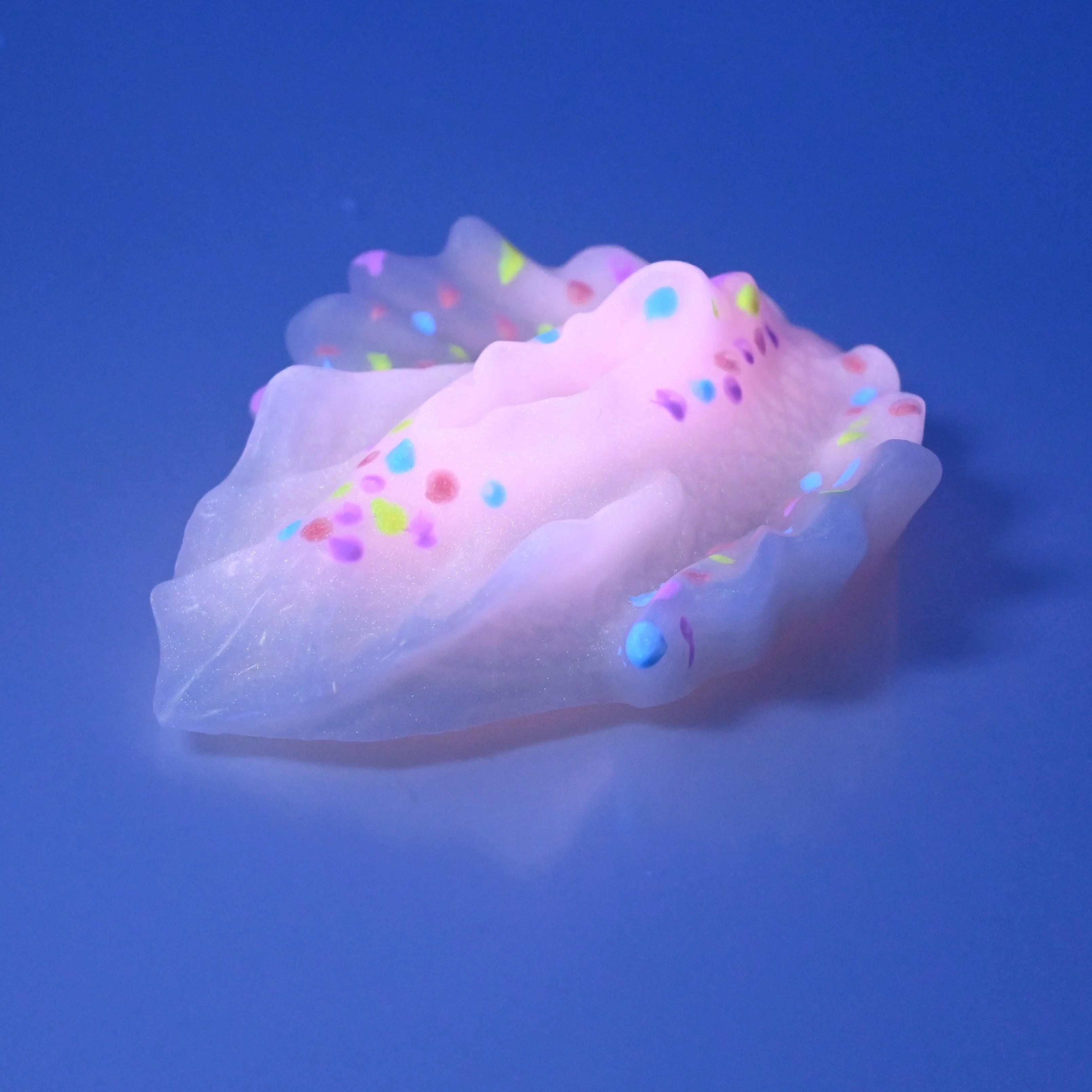 C2SCU71 Calypso Small 0030 UV GITD - Image 3