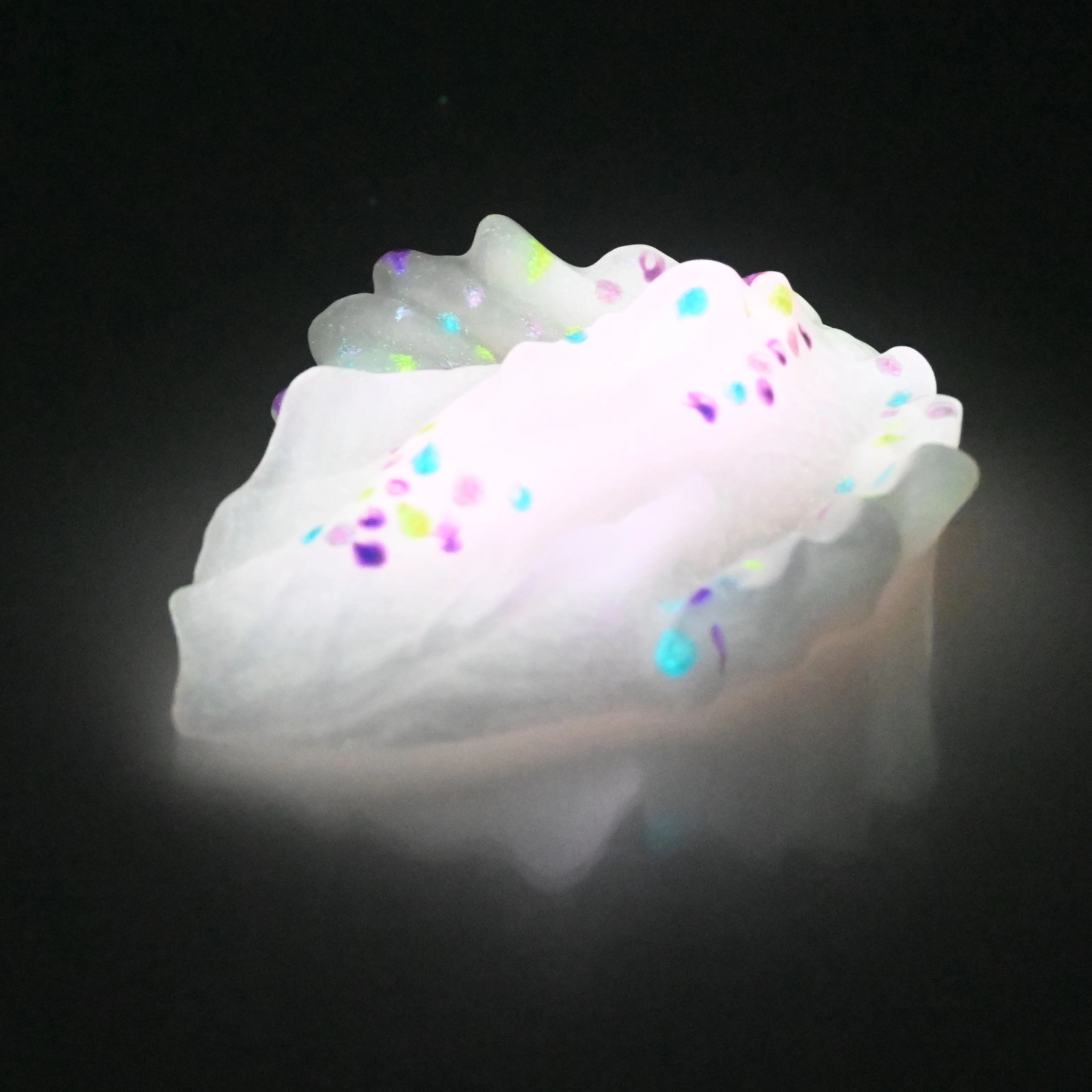 C2SCU71 Calypso Small 0030 UV GITD - Image 4