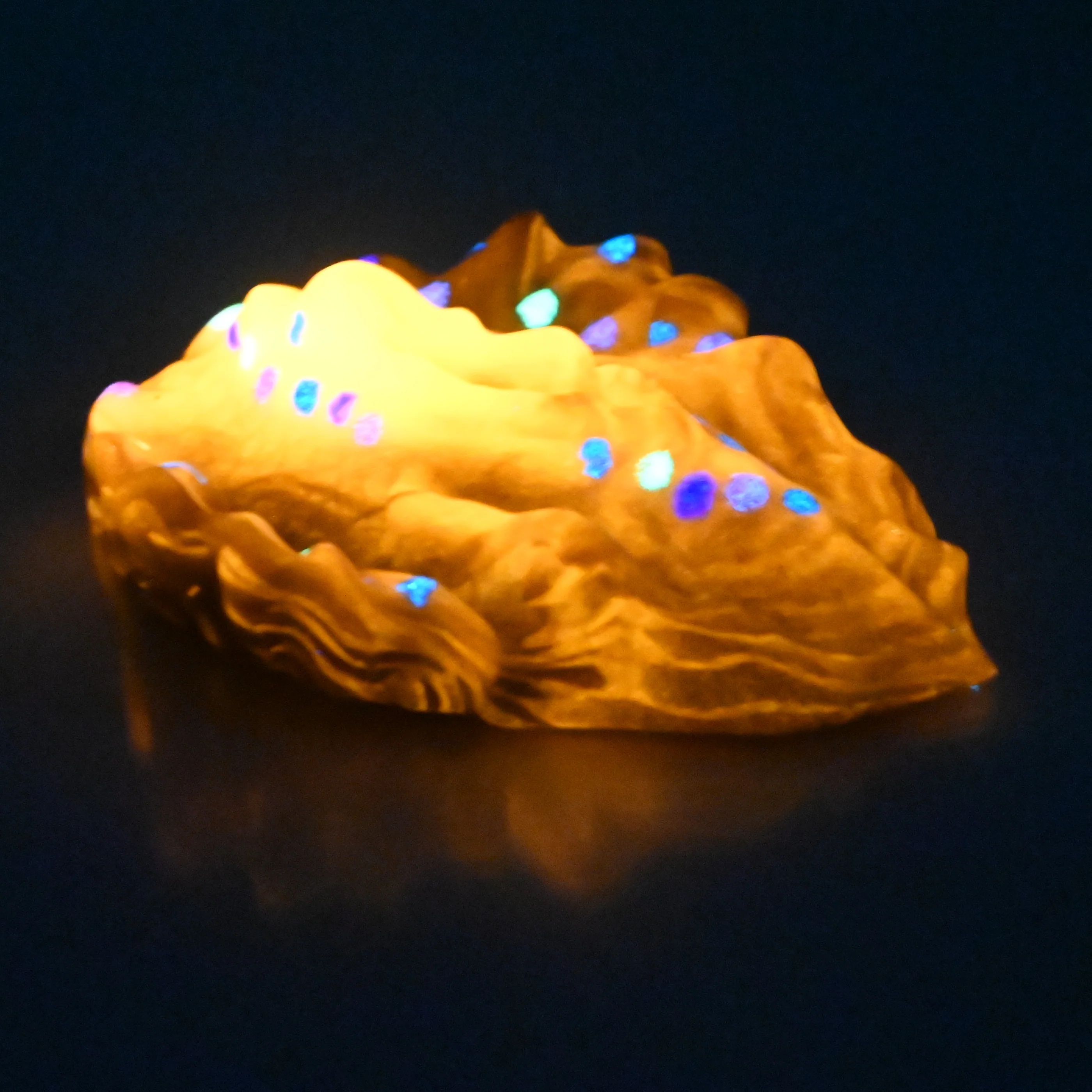 C2SCV95 Calypso Small 0030 UV GITD - Image 4