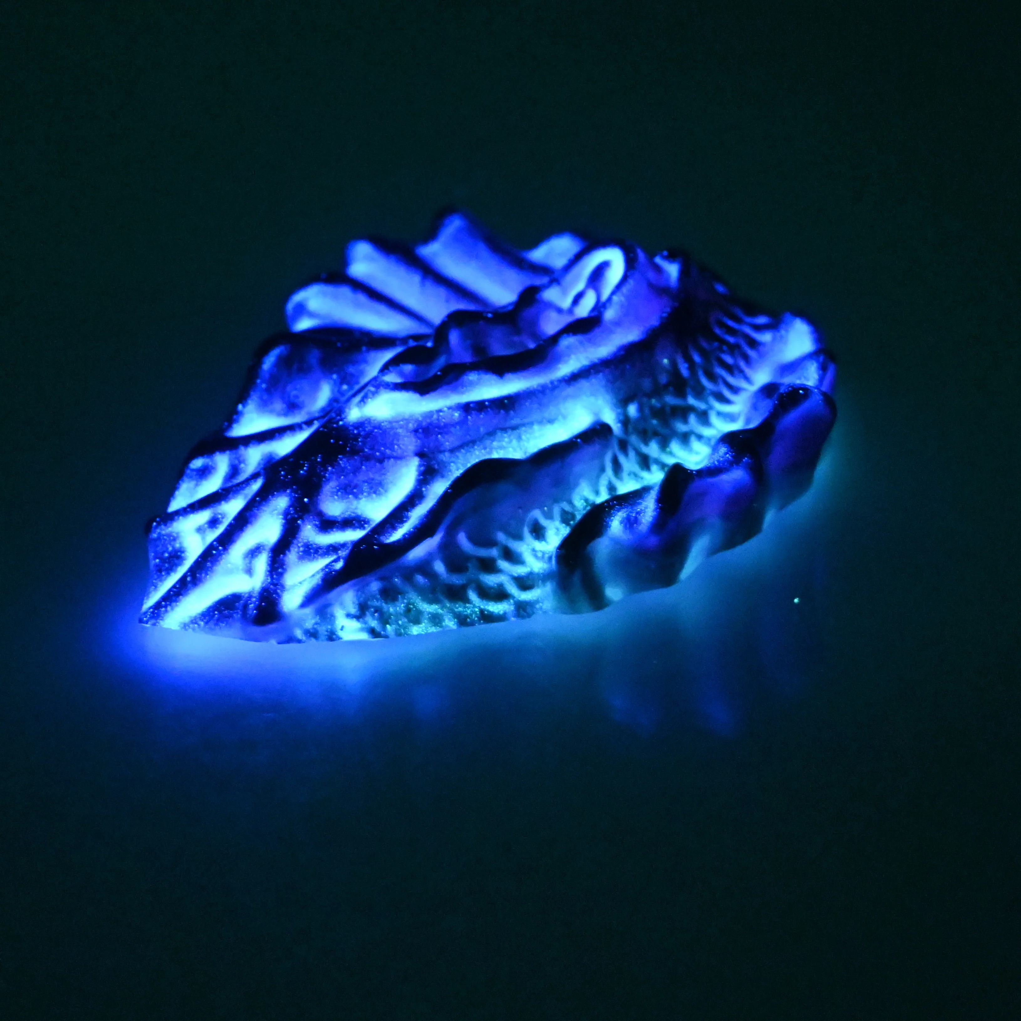 C2SCV92 Calypso Small 0030 UV GITD - Image 4