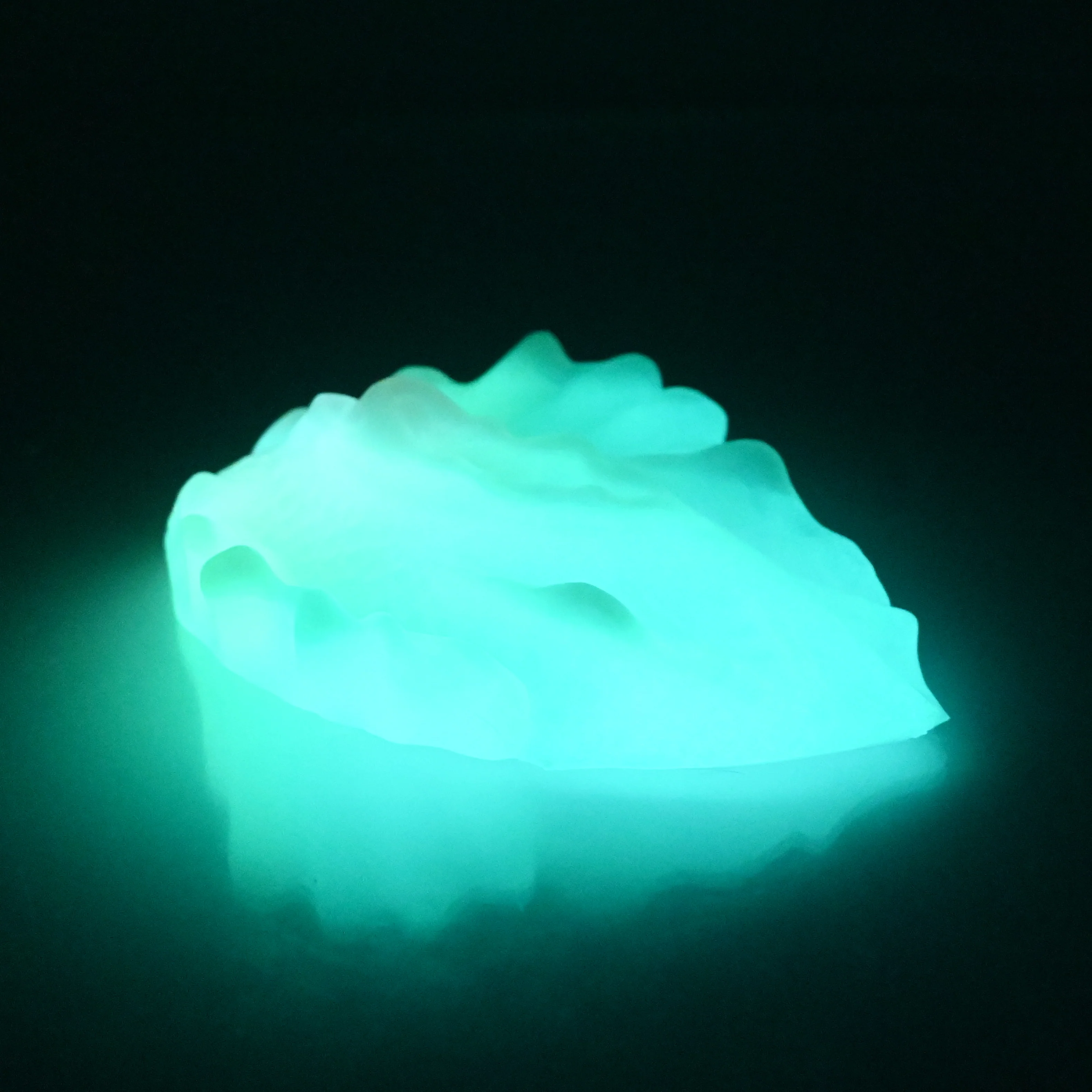 C2XCX23 Calypso Small 0020 UV GITD - Image 4