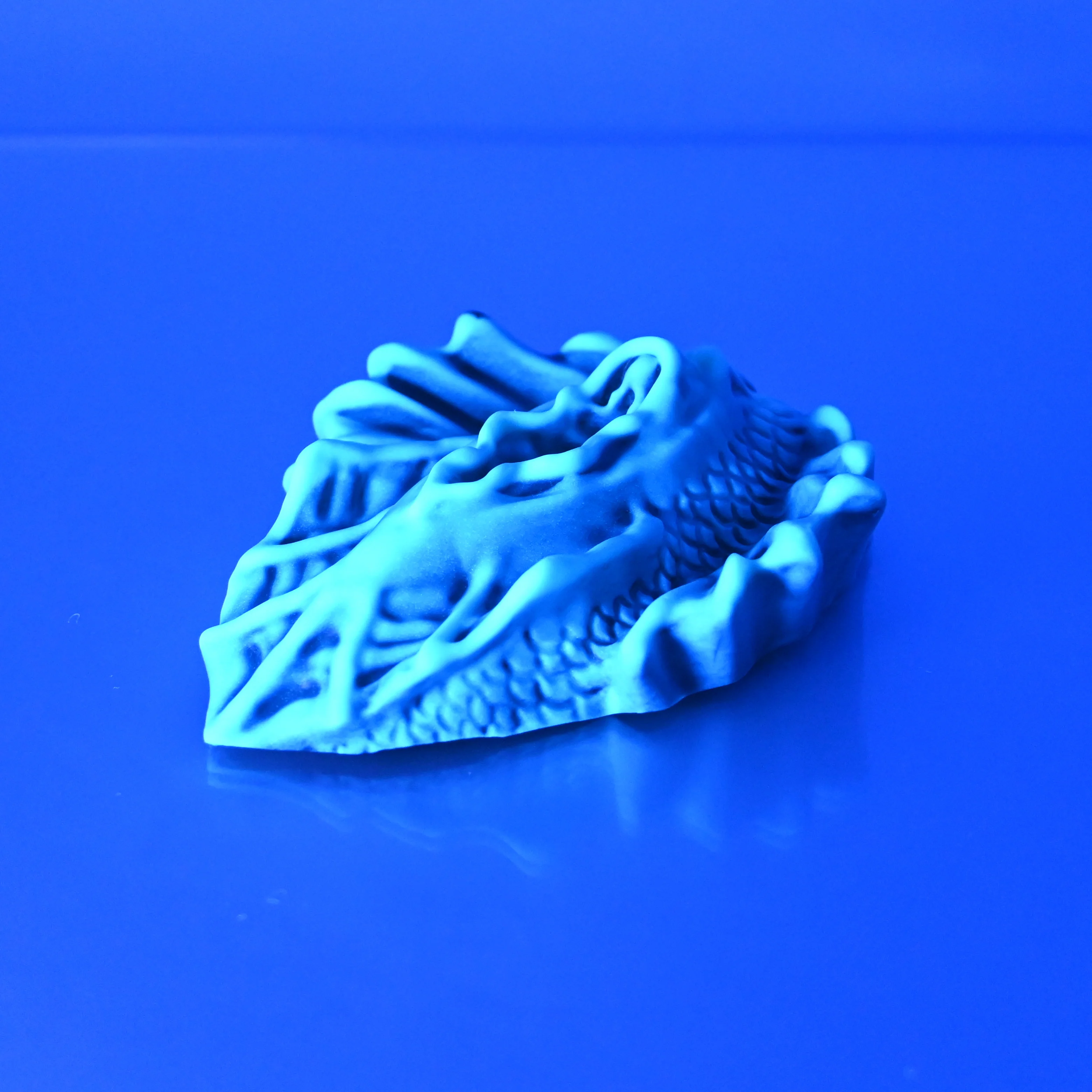 C2SCX21 Calypso Small 0030 UV GITD - Image 3