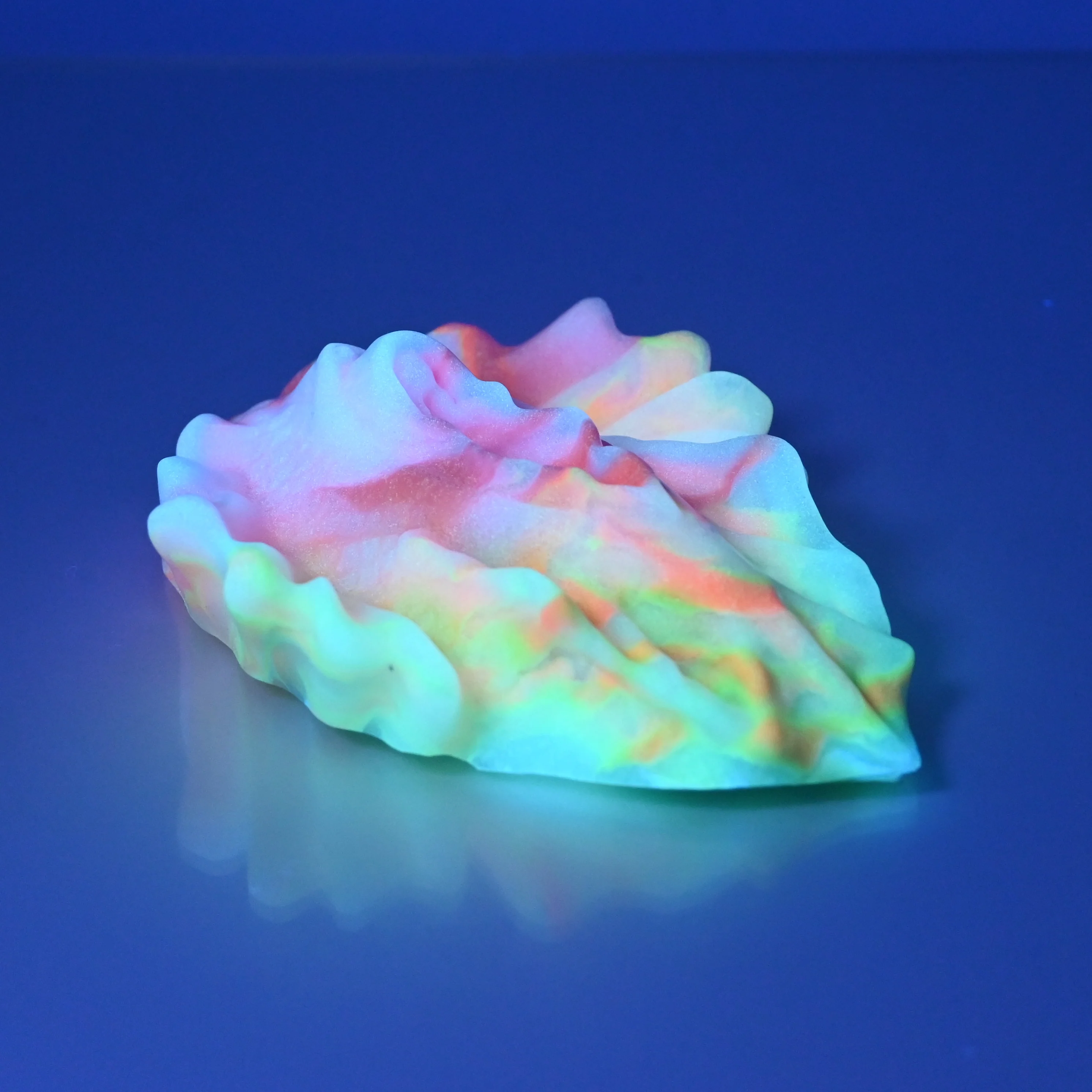 C2SCX25 Calypso Small 0030 UV GITD - Image 3