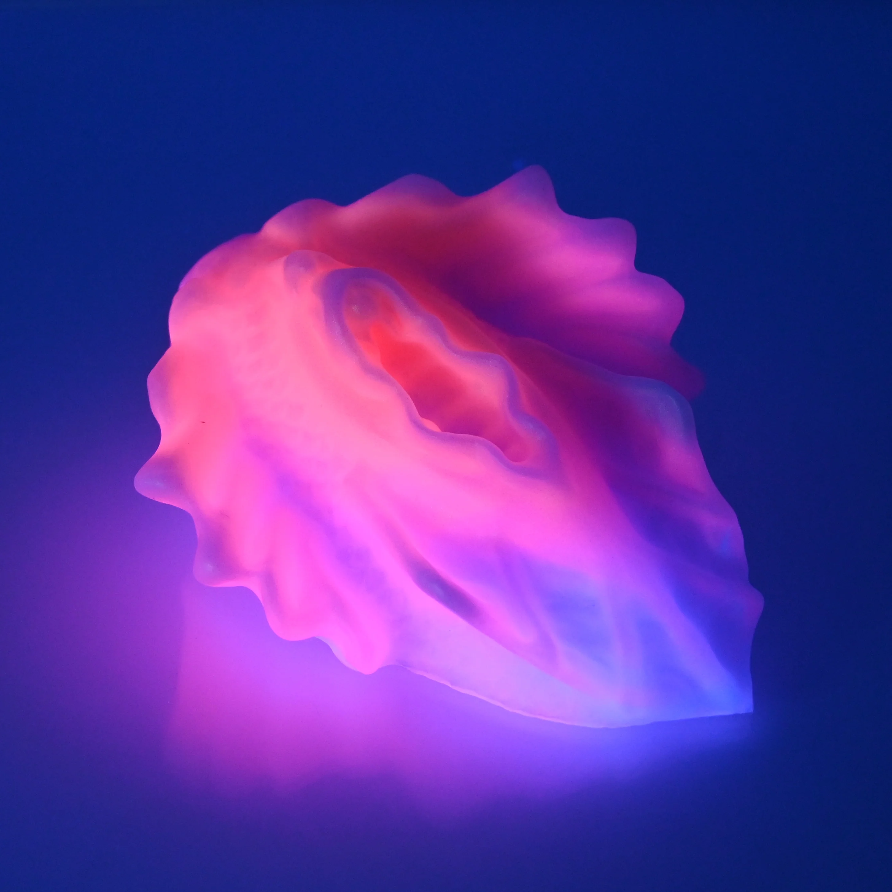 C2SDH07 Calypso Small 0030 UV GITD - Image 3