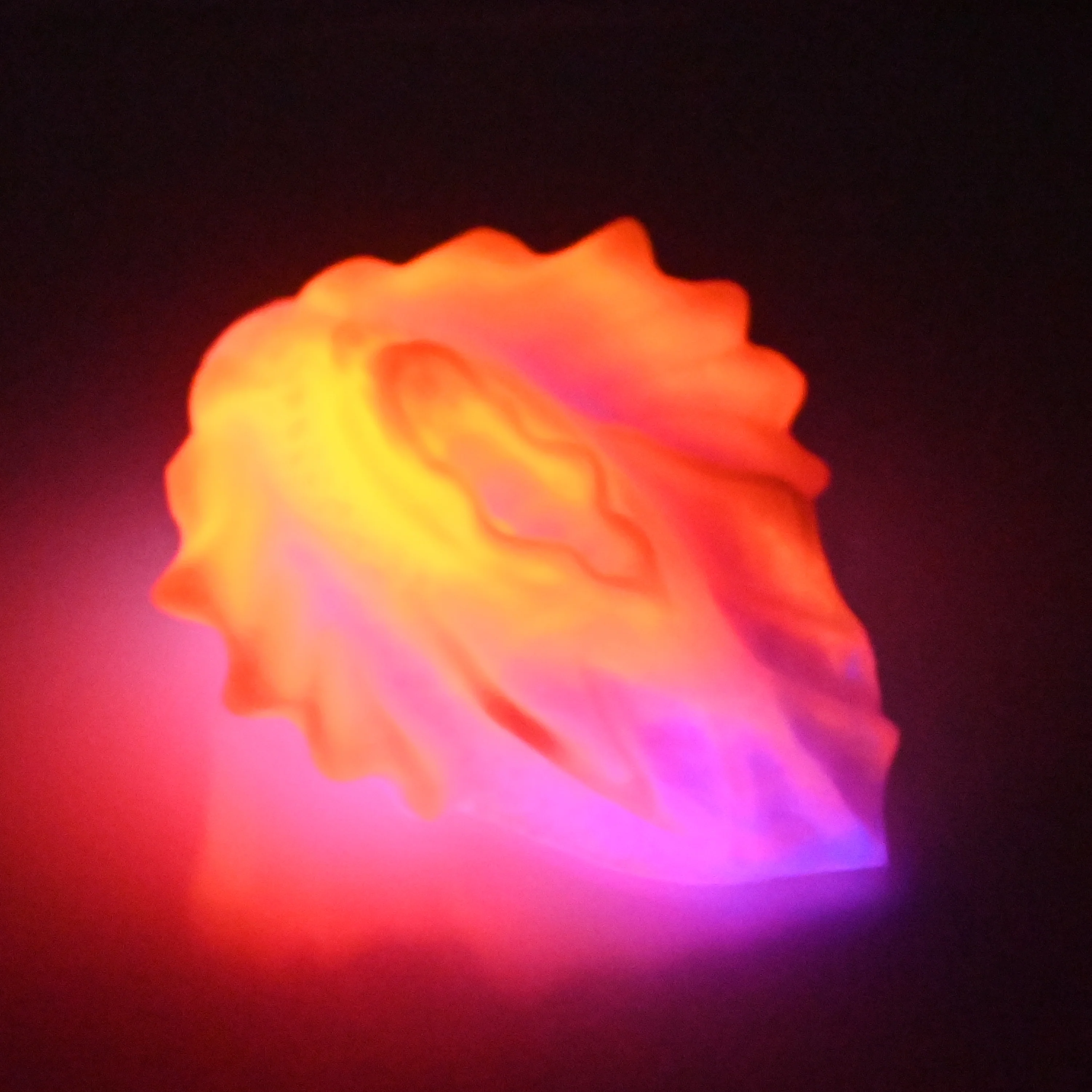 C2SDH07 Calypso Small 0030 UV GITD - Image 4