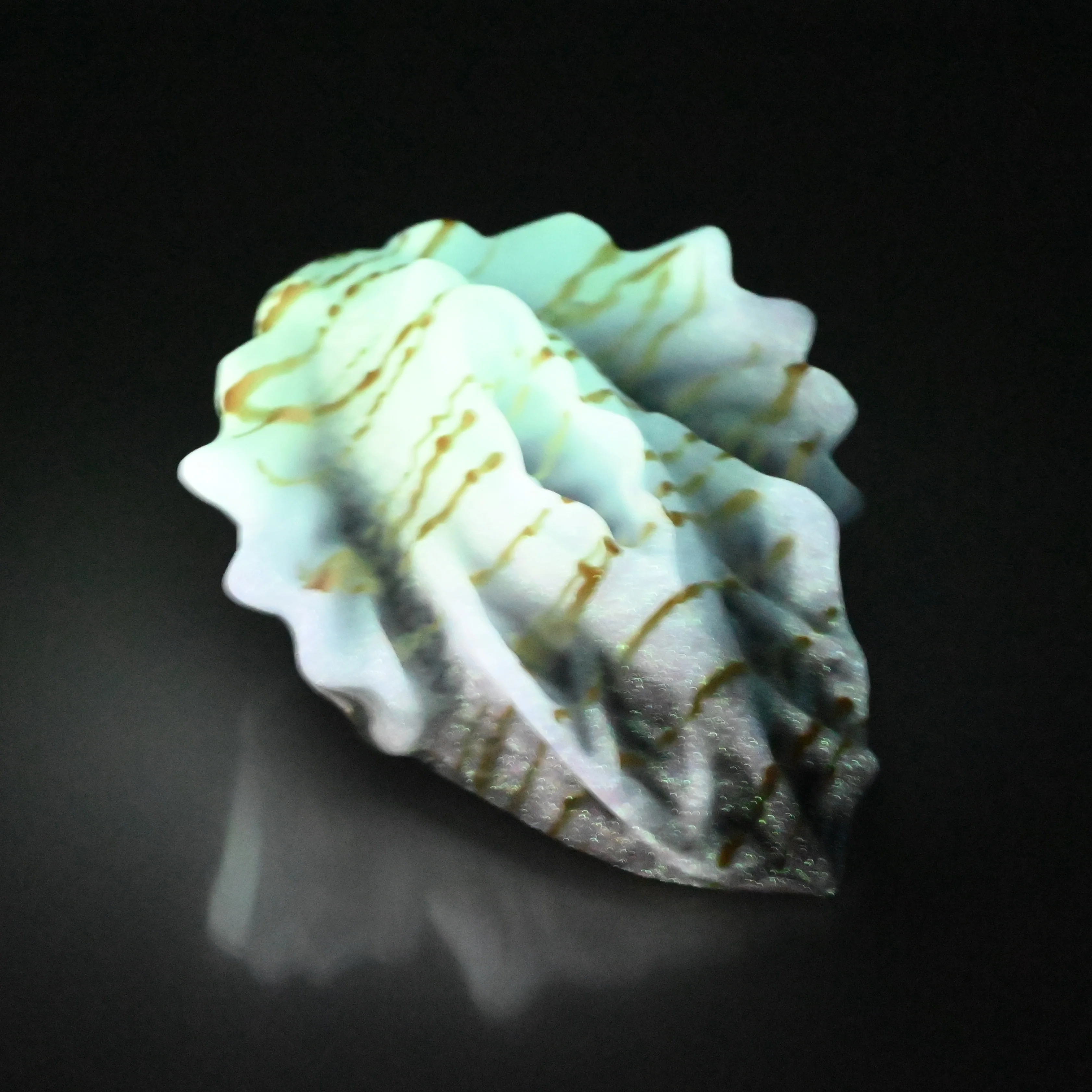 C2MDU65 Calypso Small 0050 UV GITD - Image 4