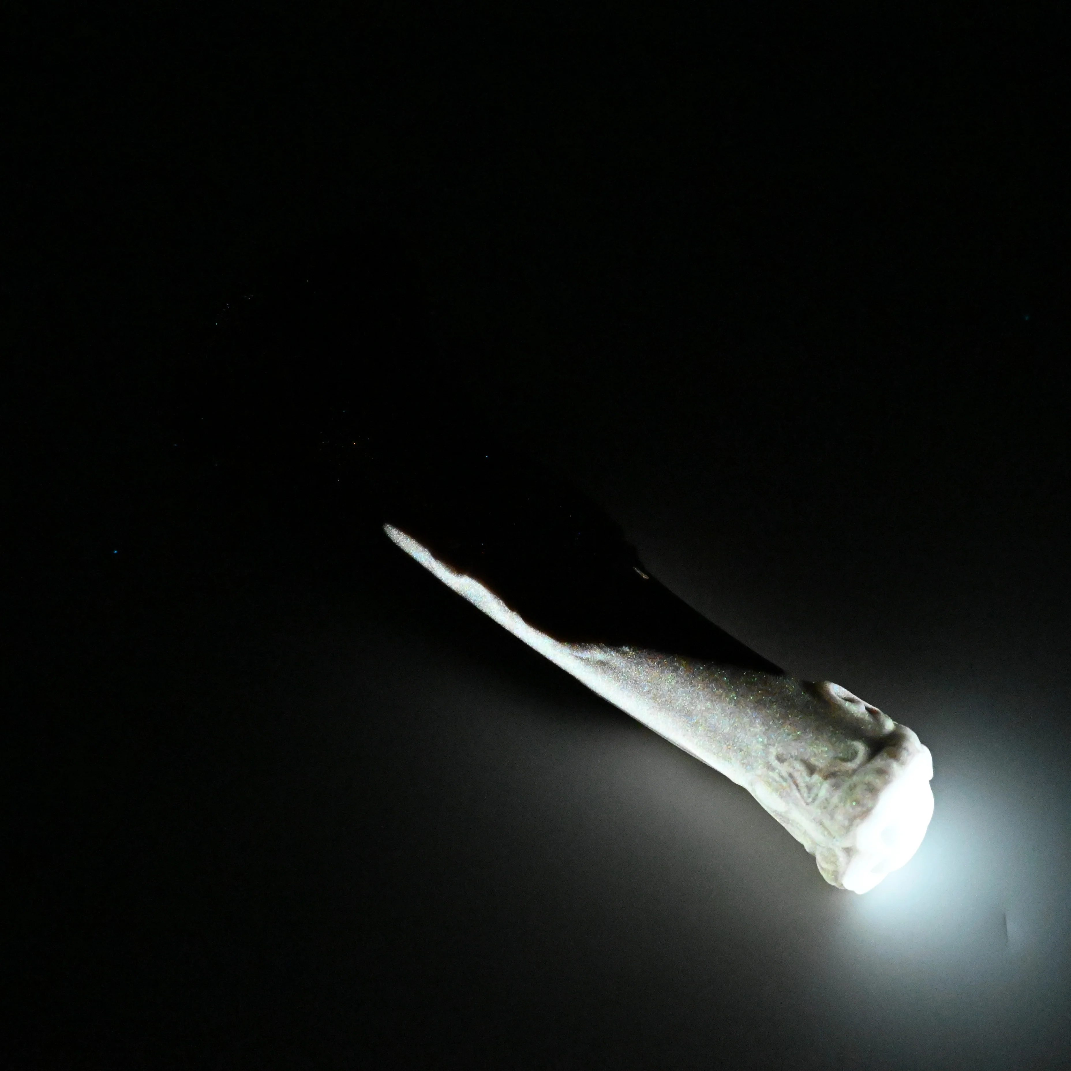 U2MJC73 Cirrus Small 0050 UV GITD - Image 4