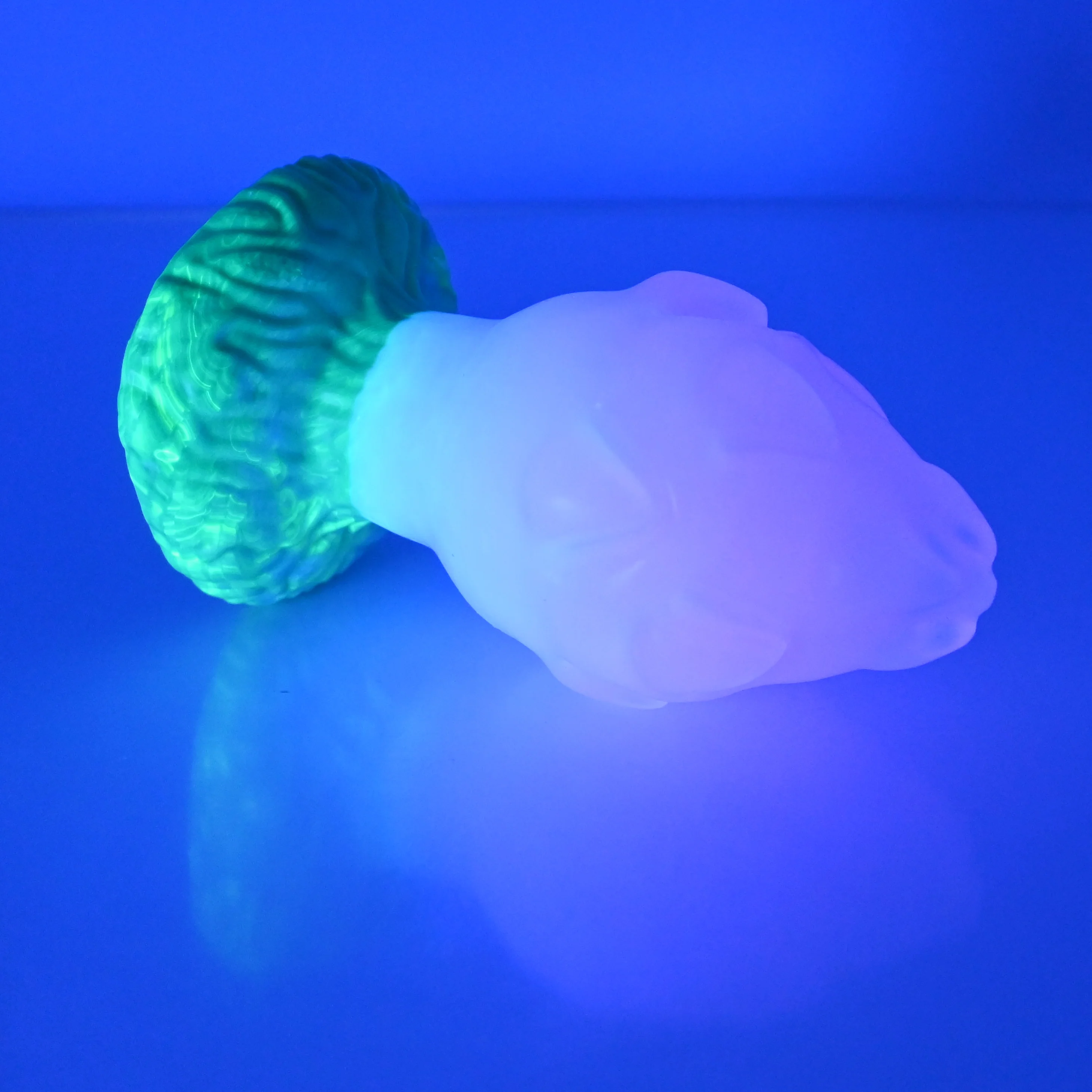 F4TCL73 Dragonfruit Plug Large NC 0031 UV - Image 3