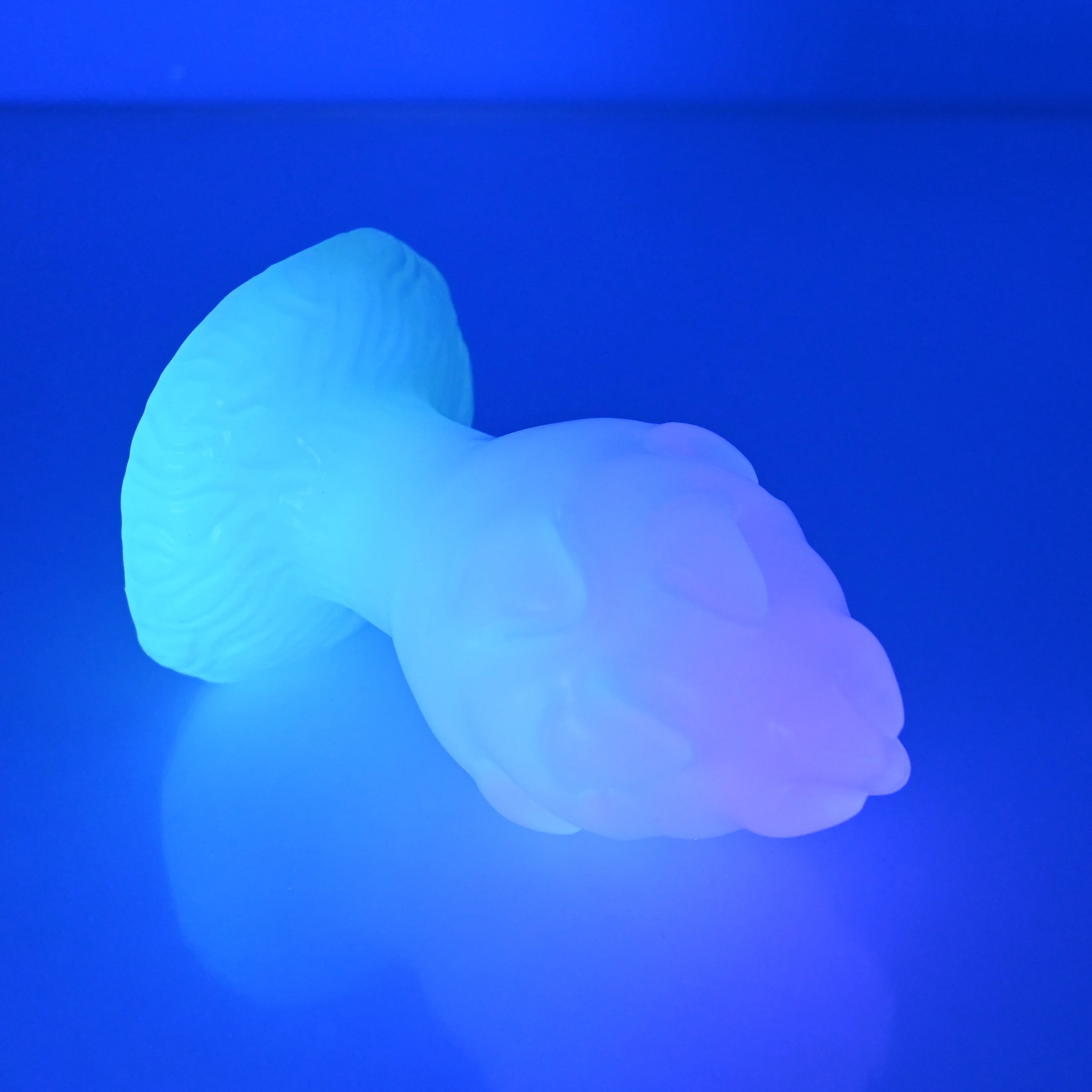 F3NBV61 Dragonfruit Plug Medium NC 0045 UV - Image 3