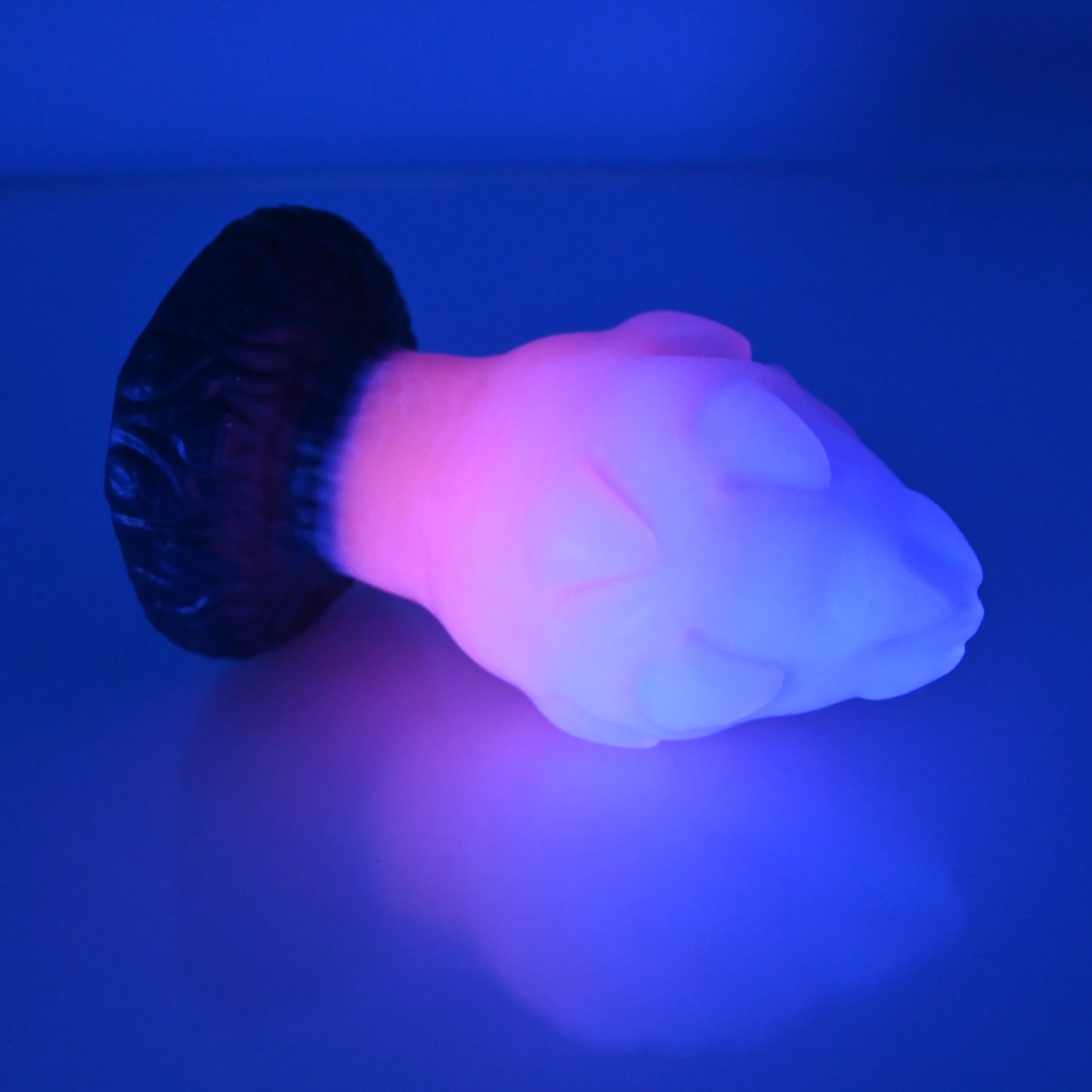 F3TCL31 Dragonfruit Plug Medium NC 0031 UV - Image 3