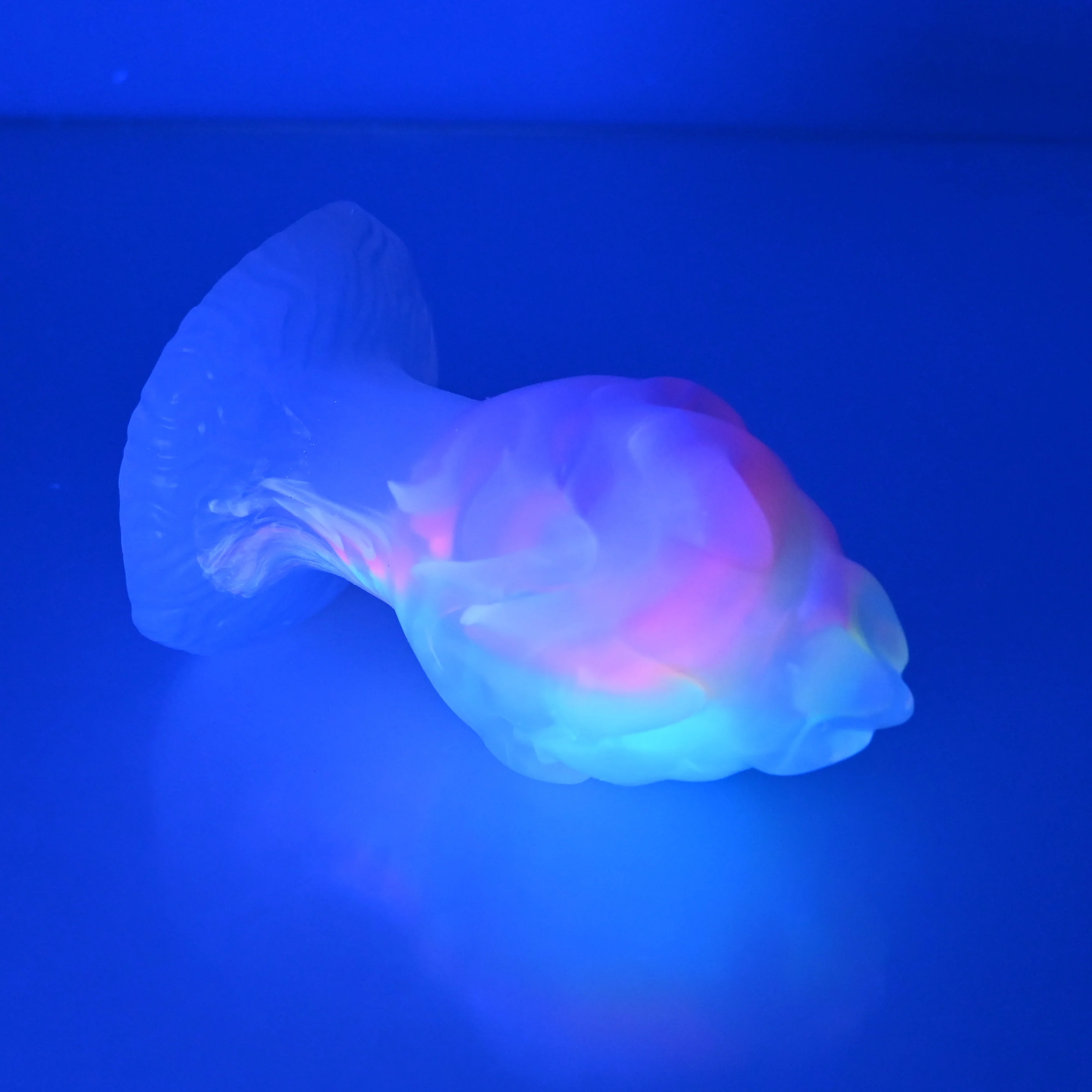 F3NBW95 Dragonfruit Plug Medium NC 0045 UV - Image 3