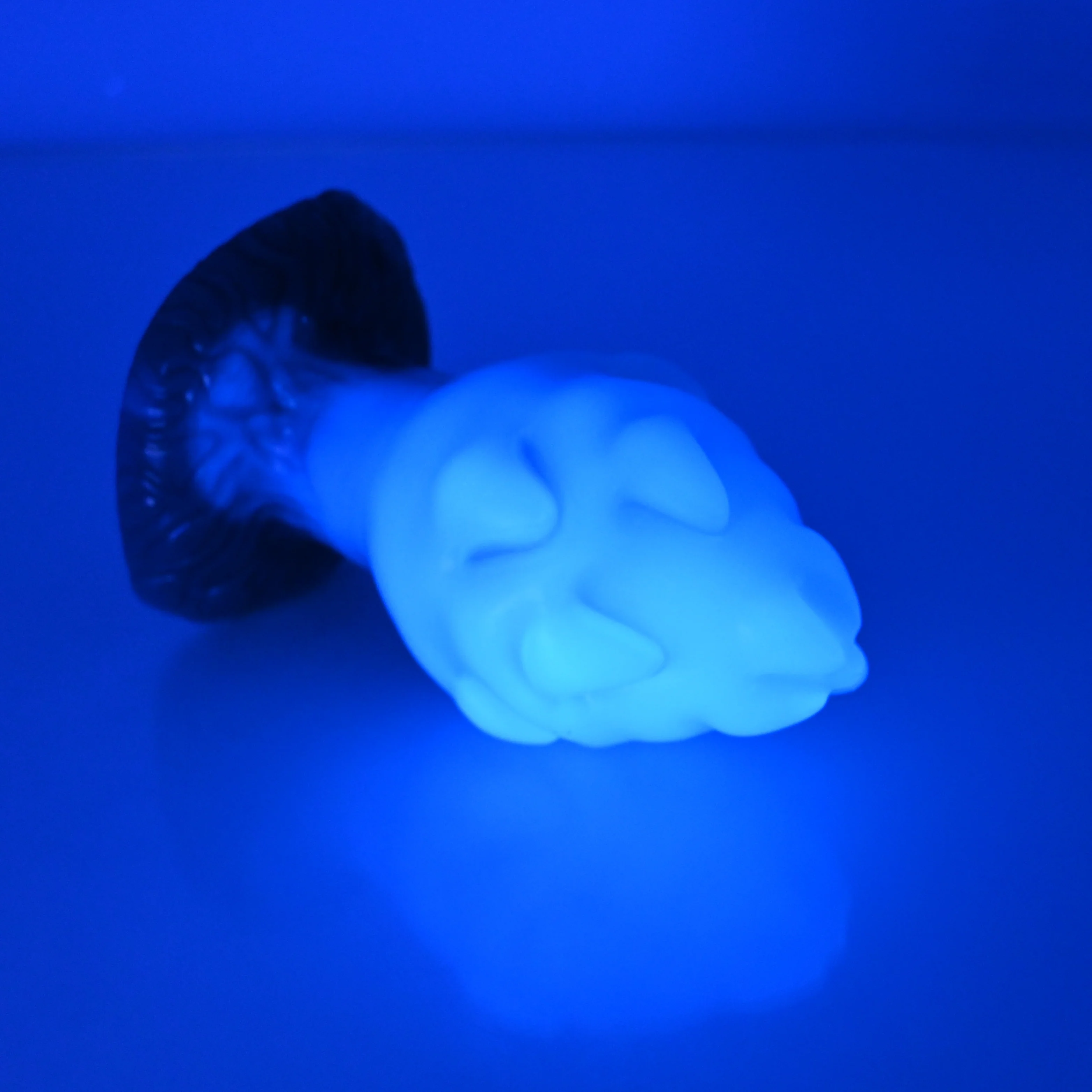 F3NBZ16 Dragonfruit Plug Medium NC 0045 UV - Image 3