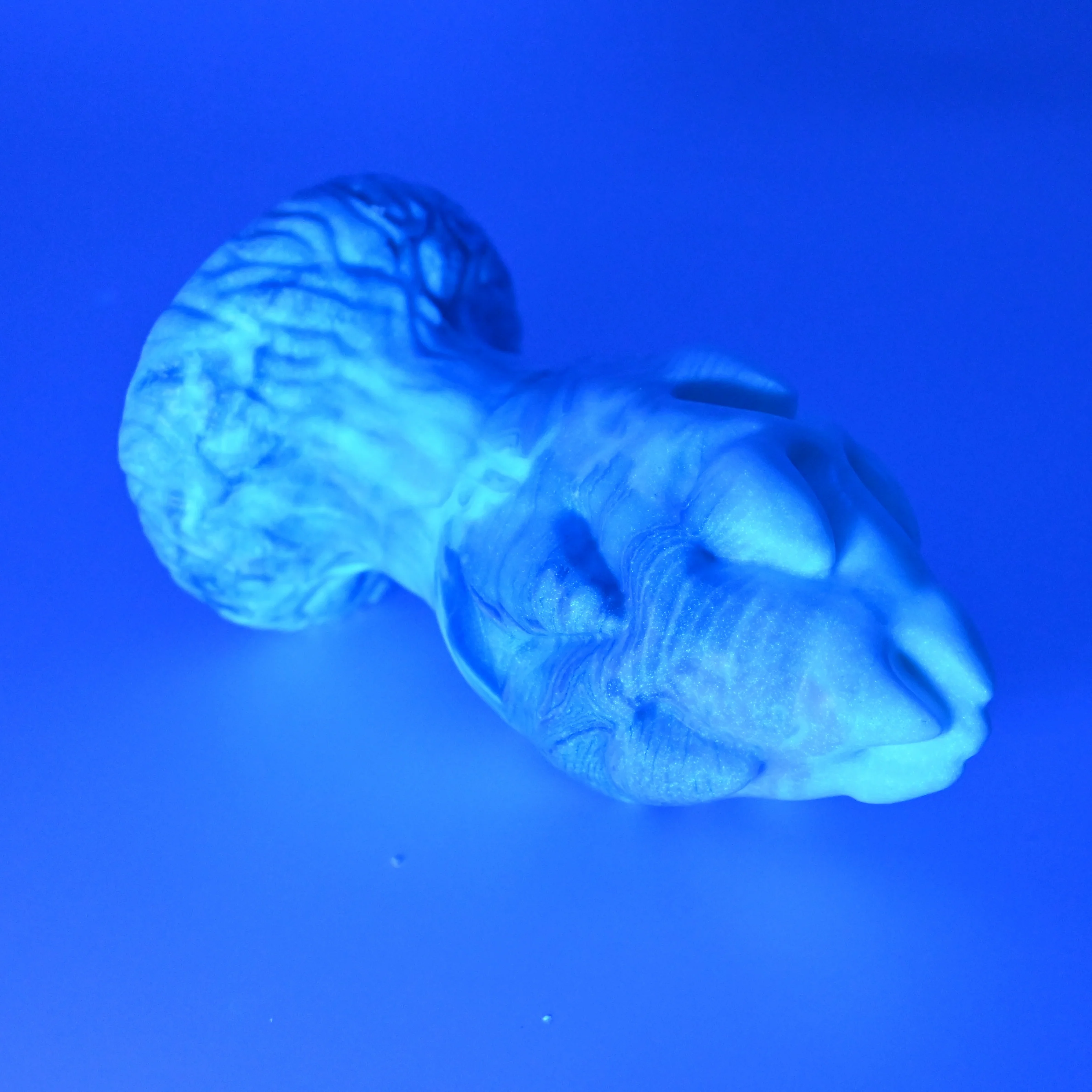 F3MGG83 Dragonfruit Plug Medium 0050 UV GITD - Image 3