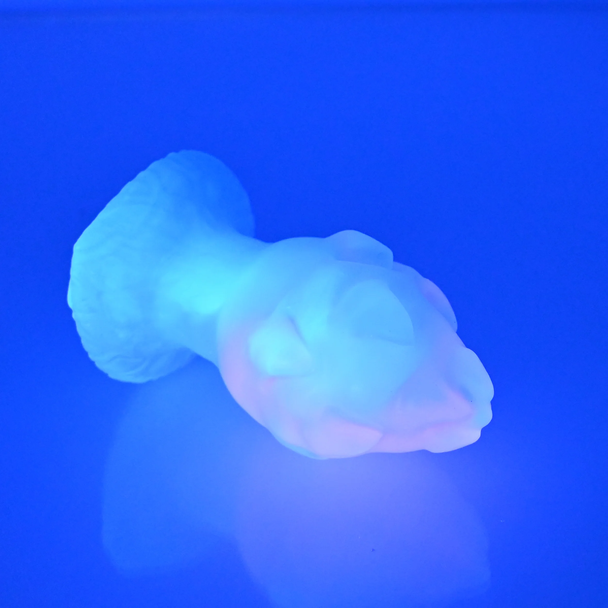 F1TCH72 Dragonfruit Plug Mini NC 0031 UV - Image 3