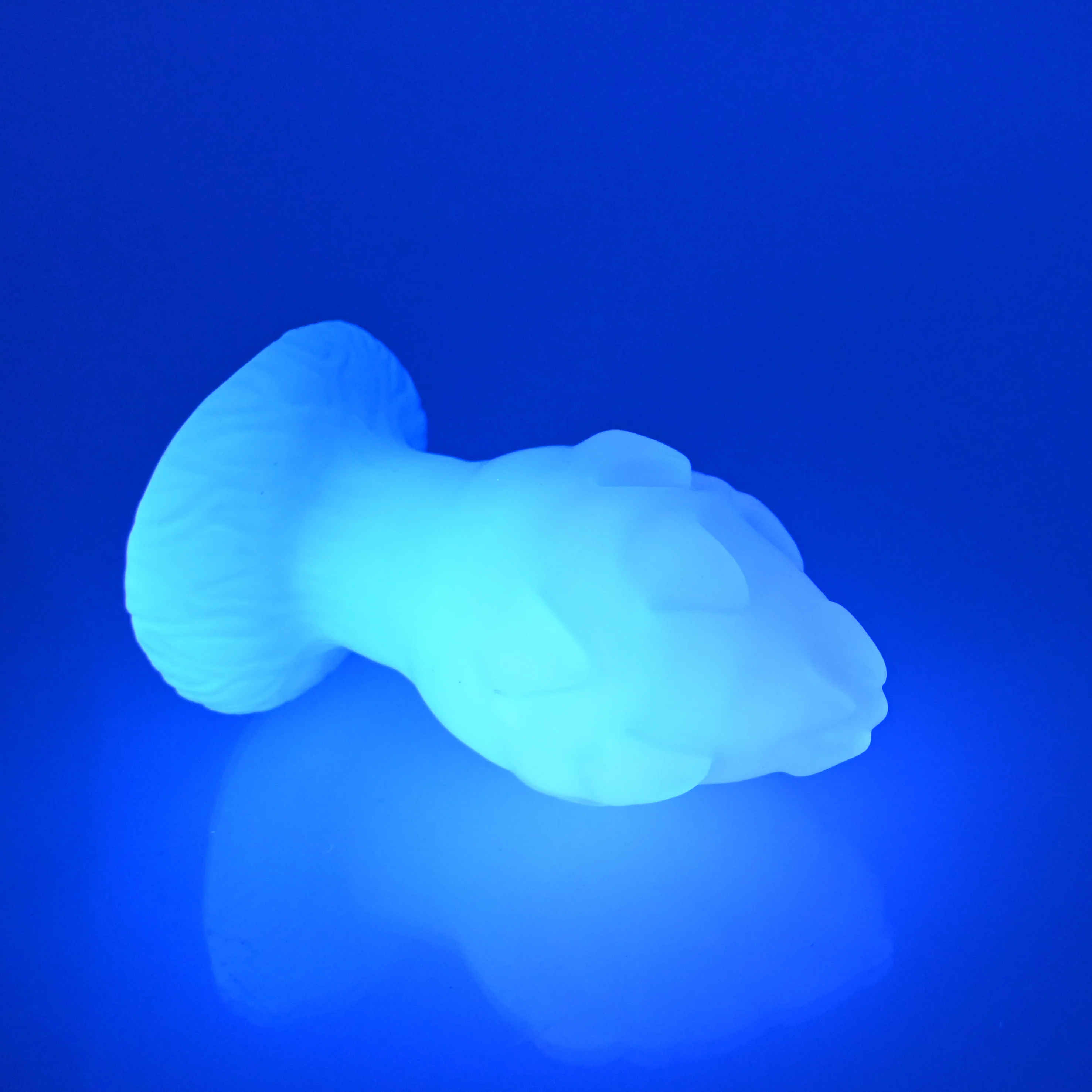 F1NCH69 Dragonfruit Plug Mini NC 0045 UV - Image 3