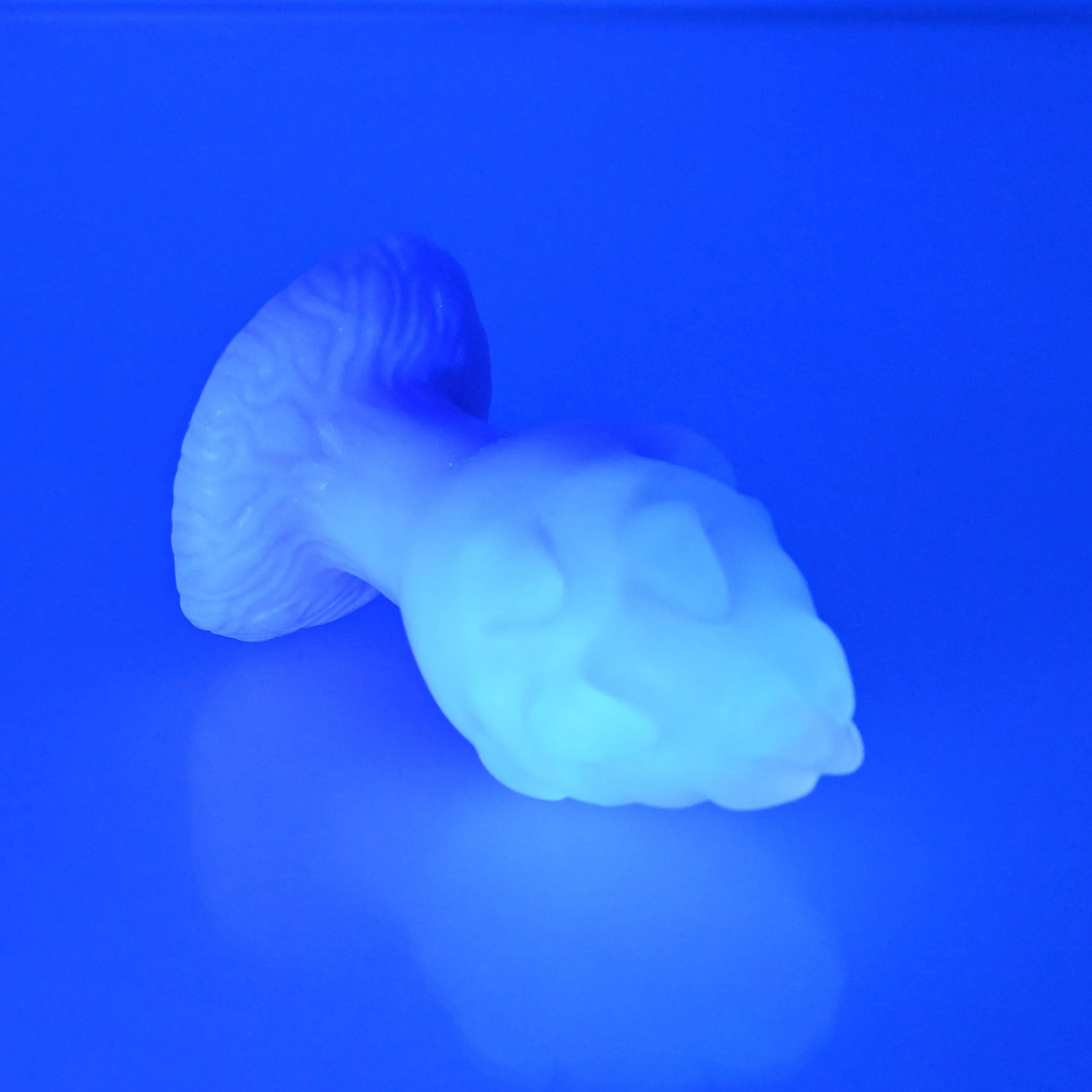 F1TBV68 Dragonfruit Plug Mini NC 0031 UV GITD - Image 3