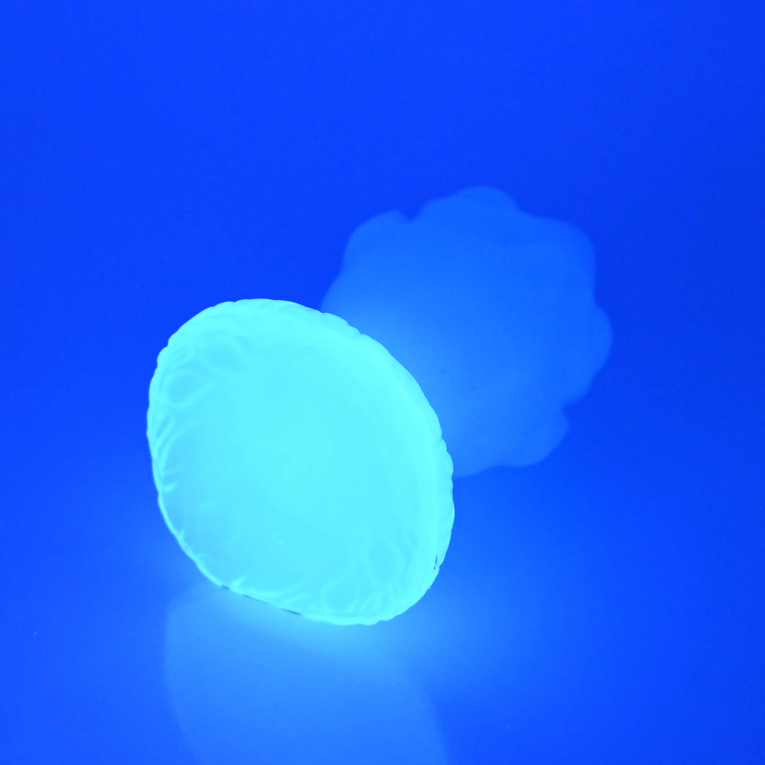 F1NBV67 Dragonfruit Plug Mini NC 0045 UV *FLOP* - Image 4