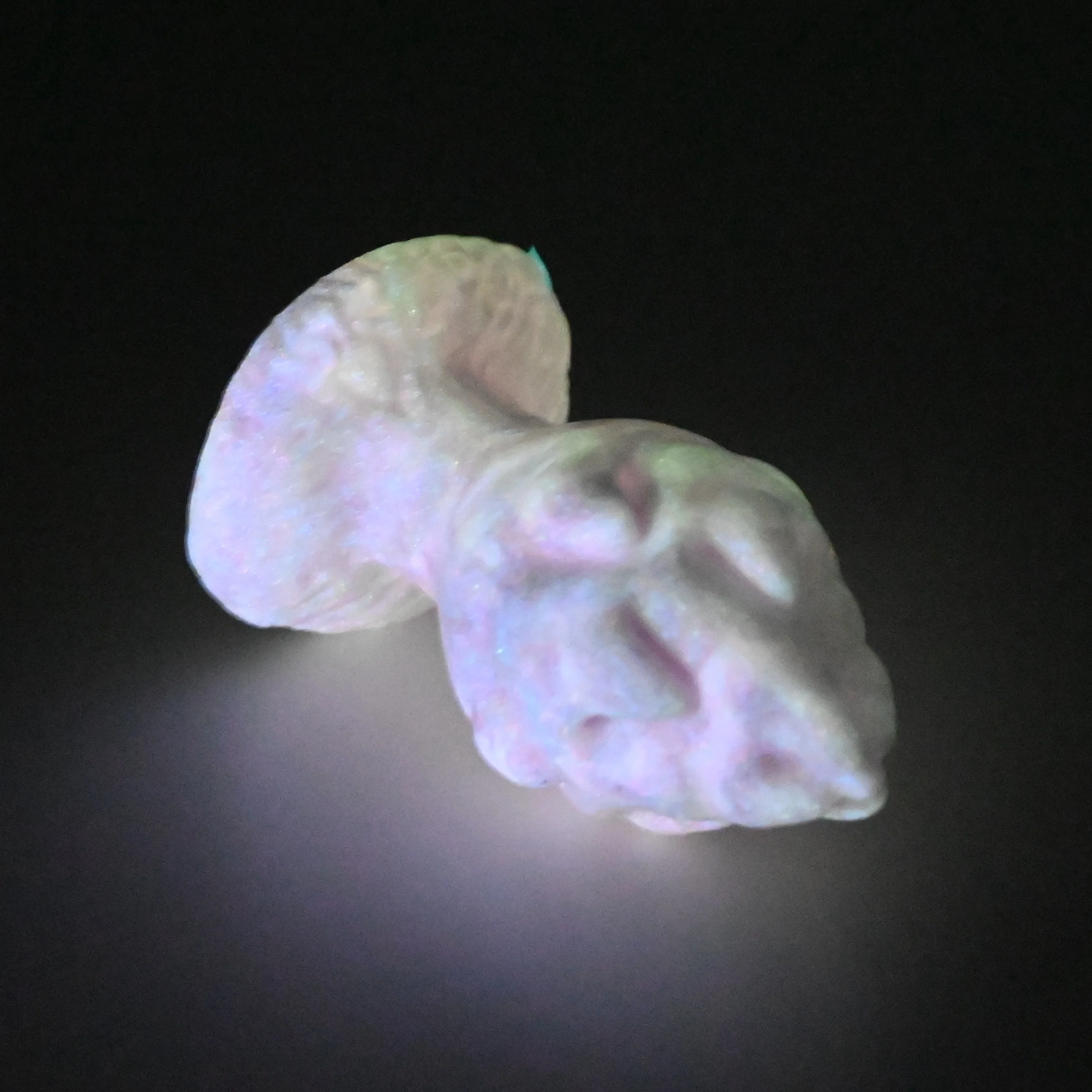 F1MGM67 Dragonfruit Plug Mini 0050 UV GITD - Image 4