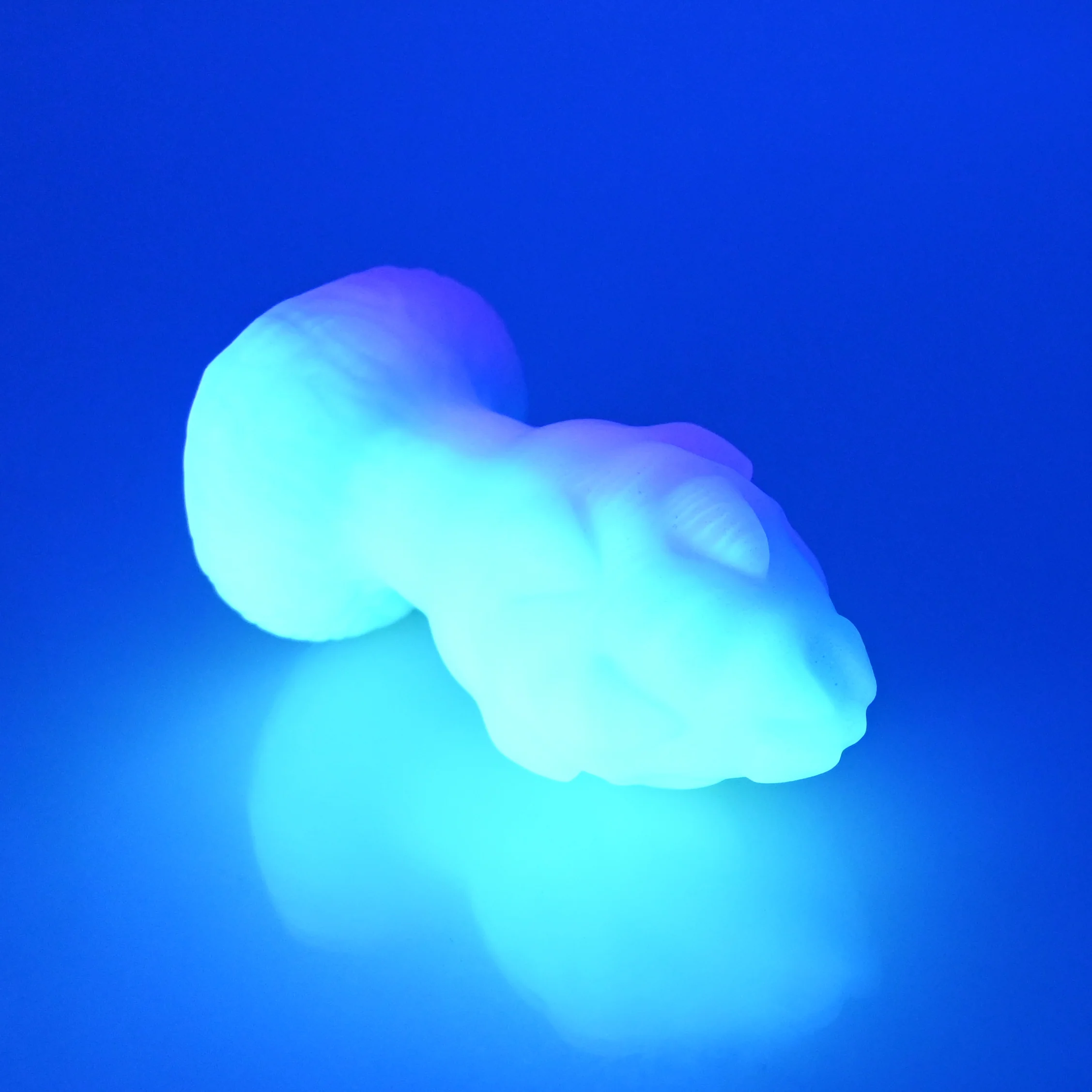 F1SBZ21 Dragonfruit Plug Mini 0030 UV - Image 4