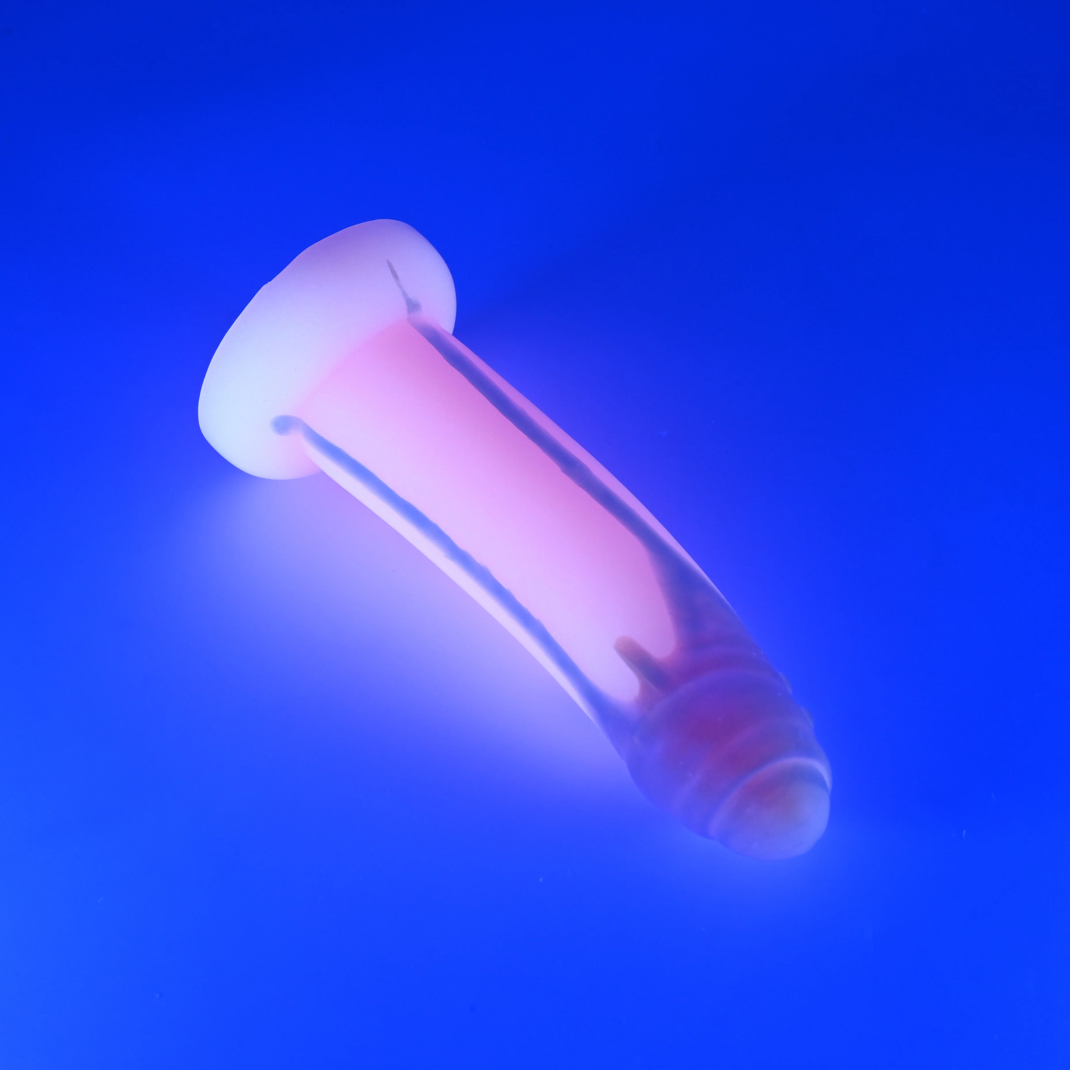 M2MJH61 Ferrus Small 0050 UV GITD CS - Image 3