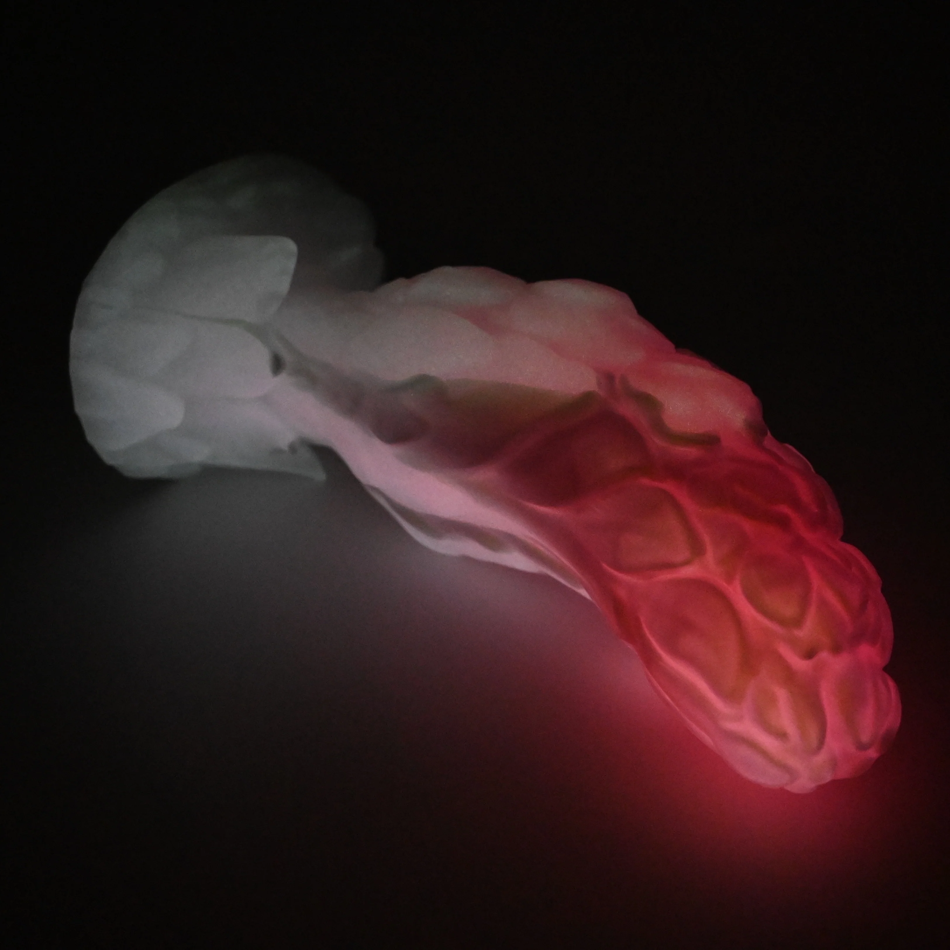 B4XFL80 Flora Large 0020 UV GITD - Image 4