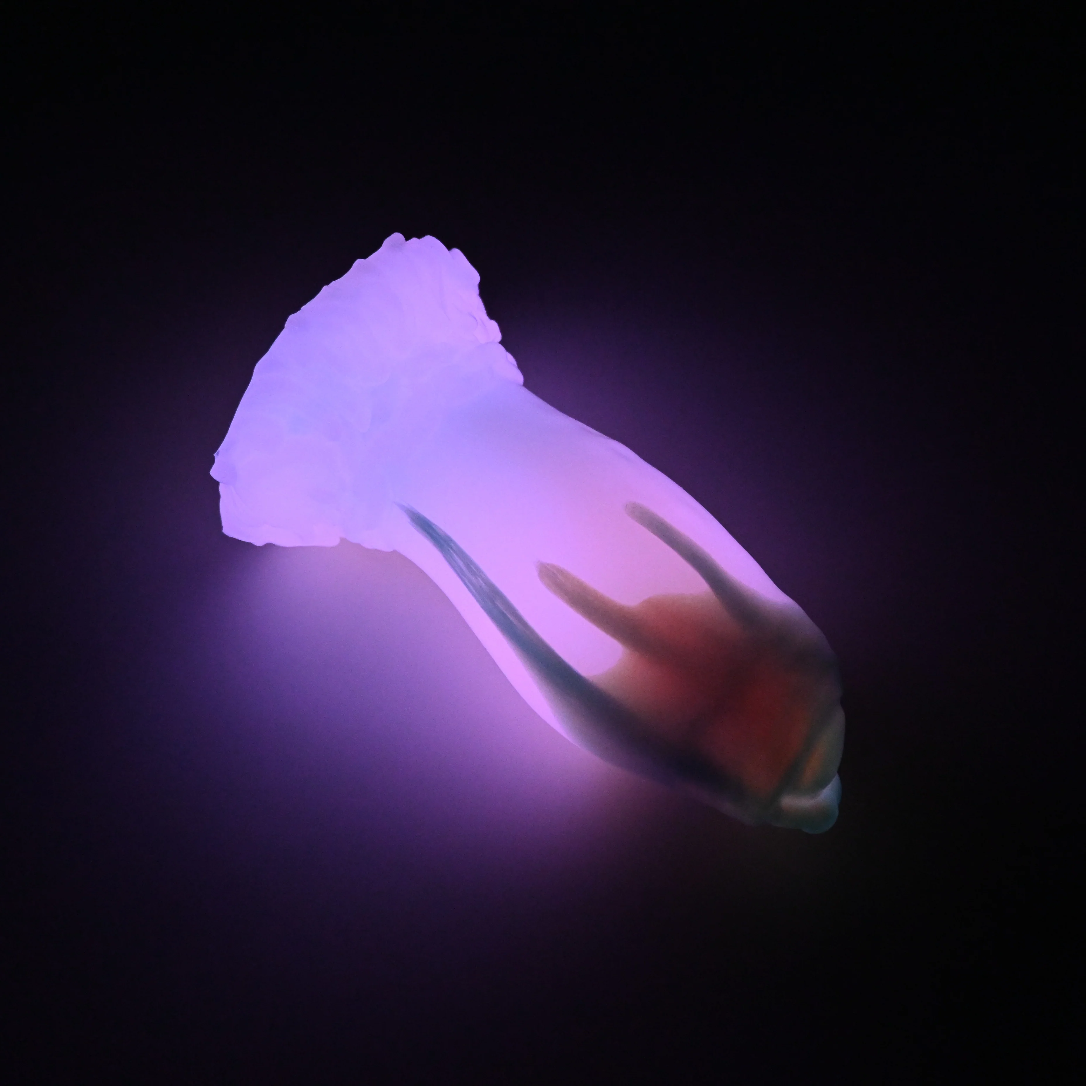 82MJH11 Hue Small 0050 UV GITD CS *FLOP* - Image 4