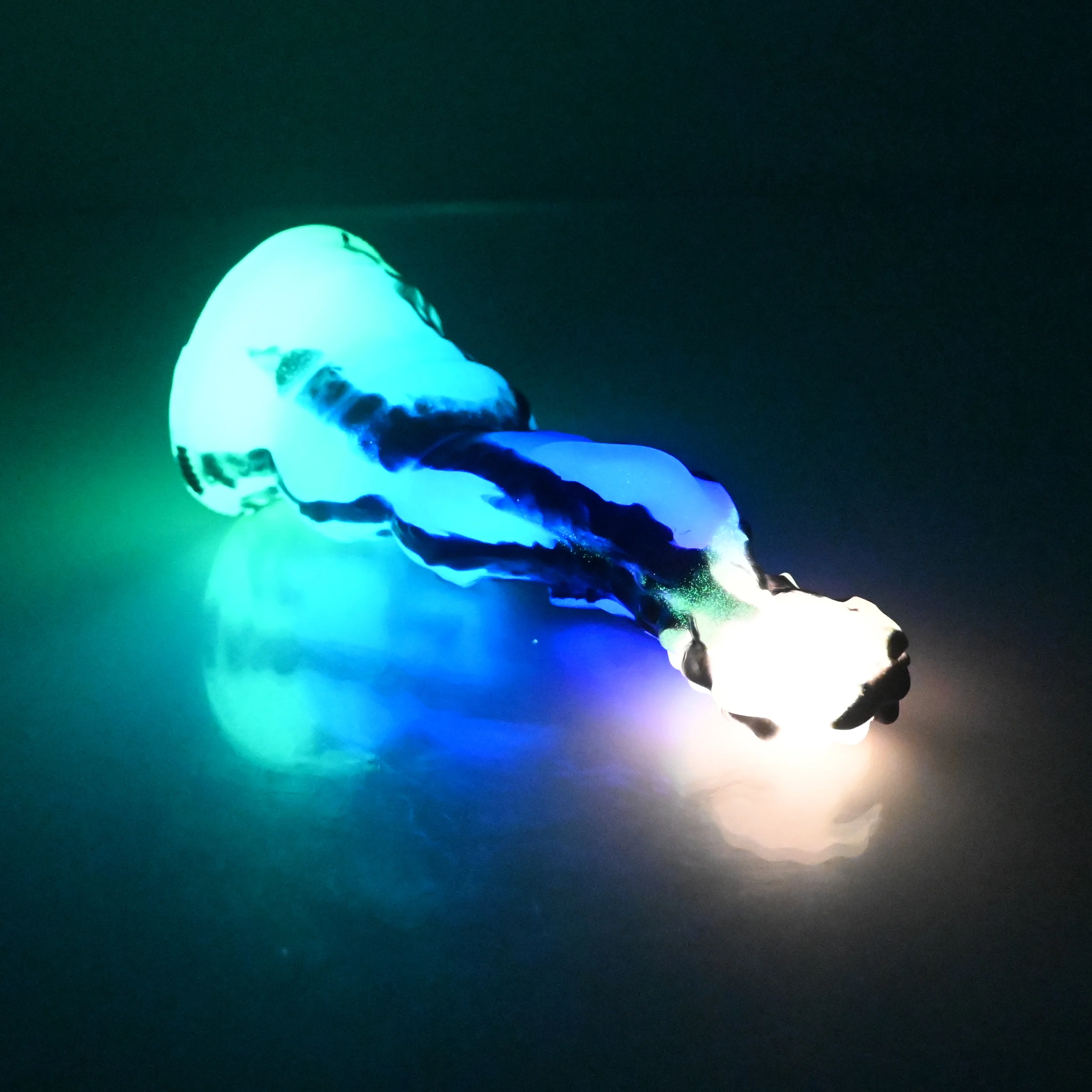 H1MCX64 Hydrae Mini 0050 UV GITD - Image 4