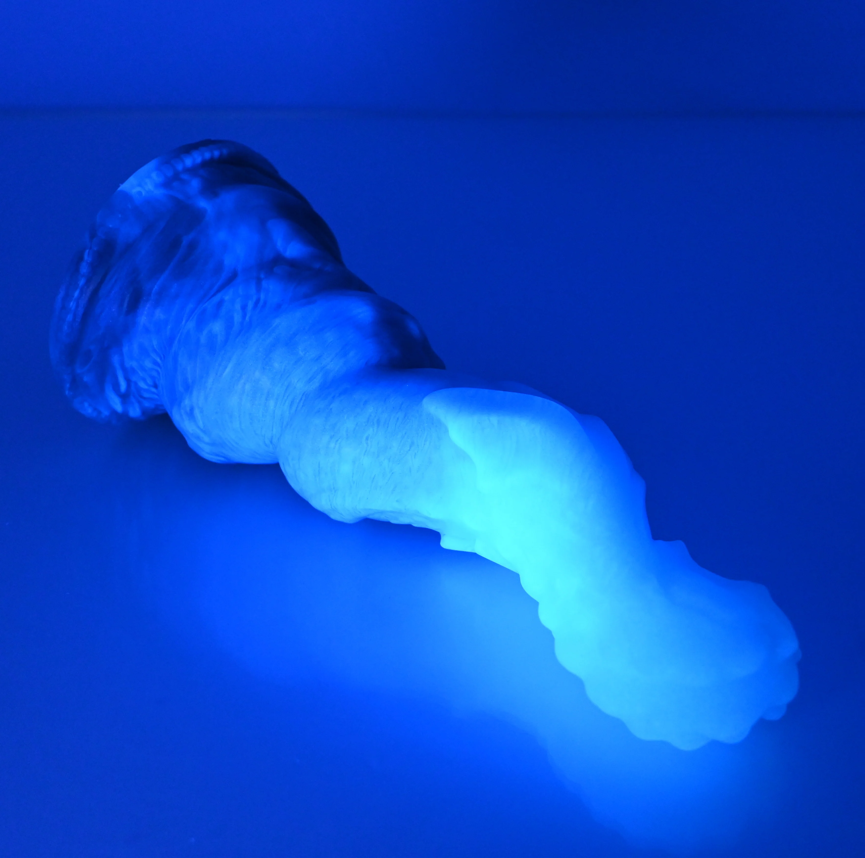 H2SEA91 Hydrae Small 0030 UV GITD CS - Image 3