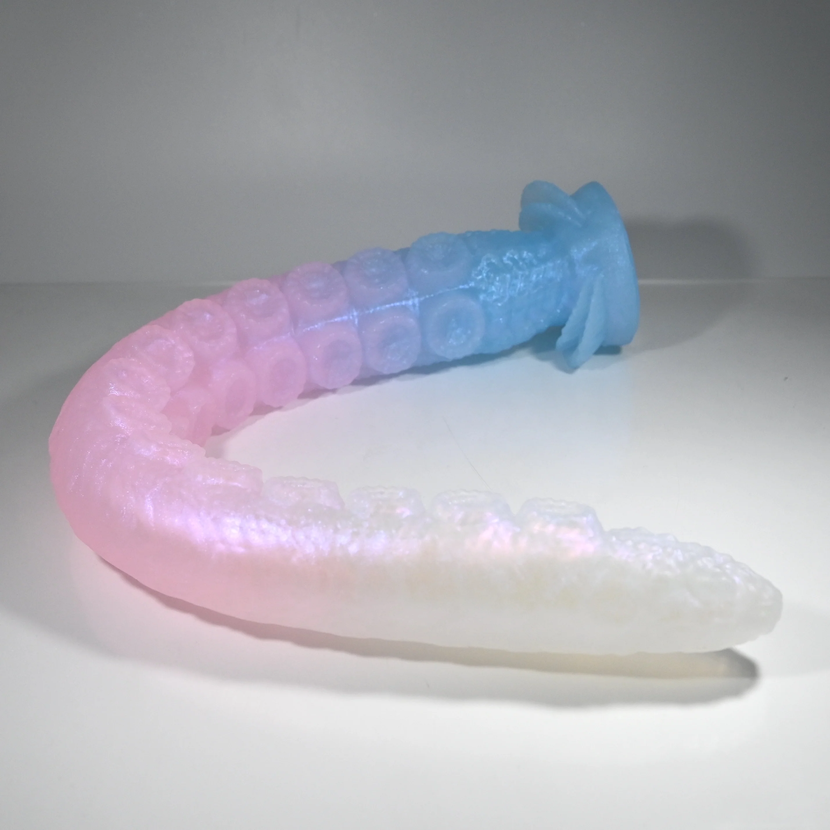 E4TFH38 Illex Large NC 0031 UV CS
