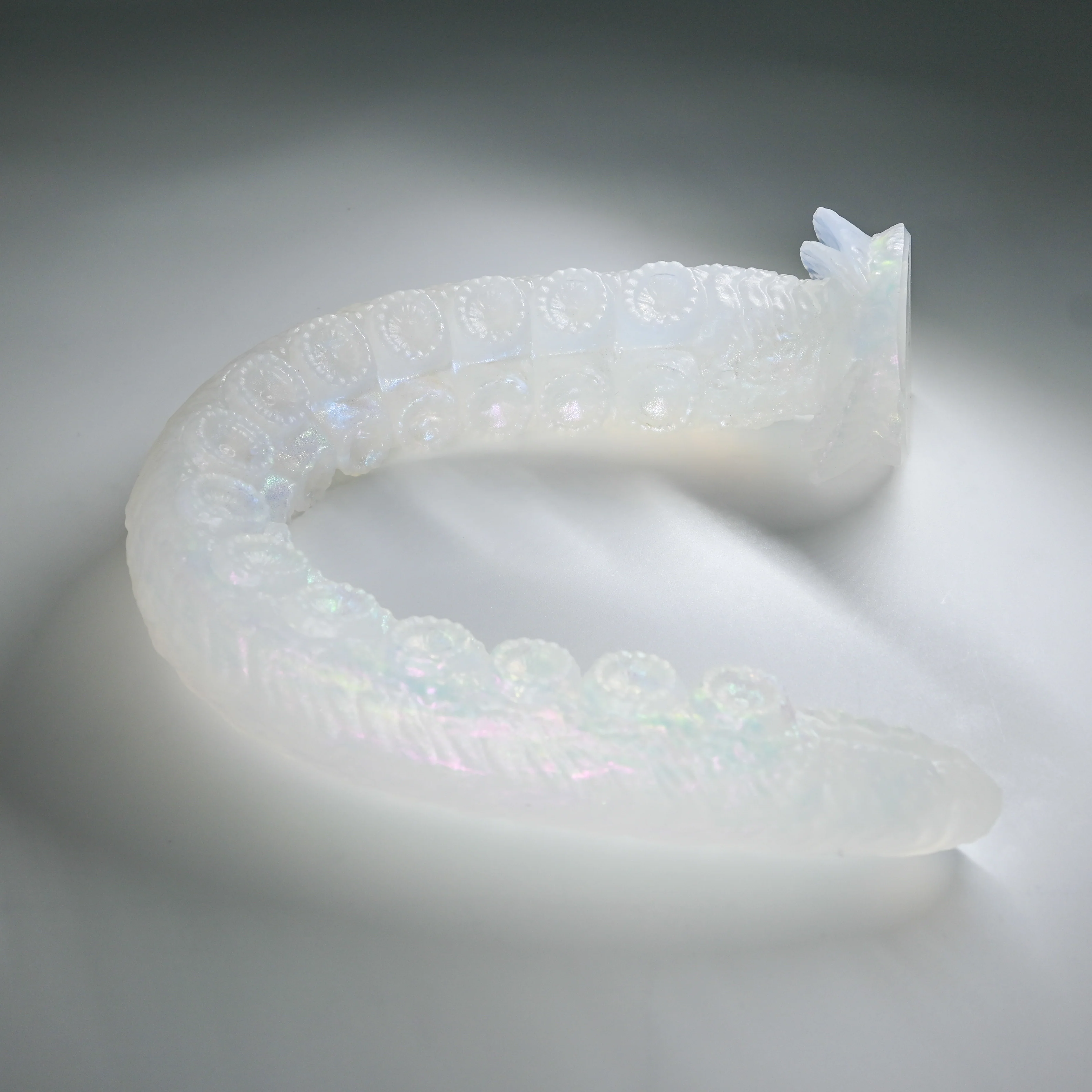 E4TGY13 Illex Large NC 0031 CS