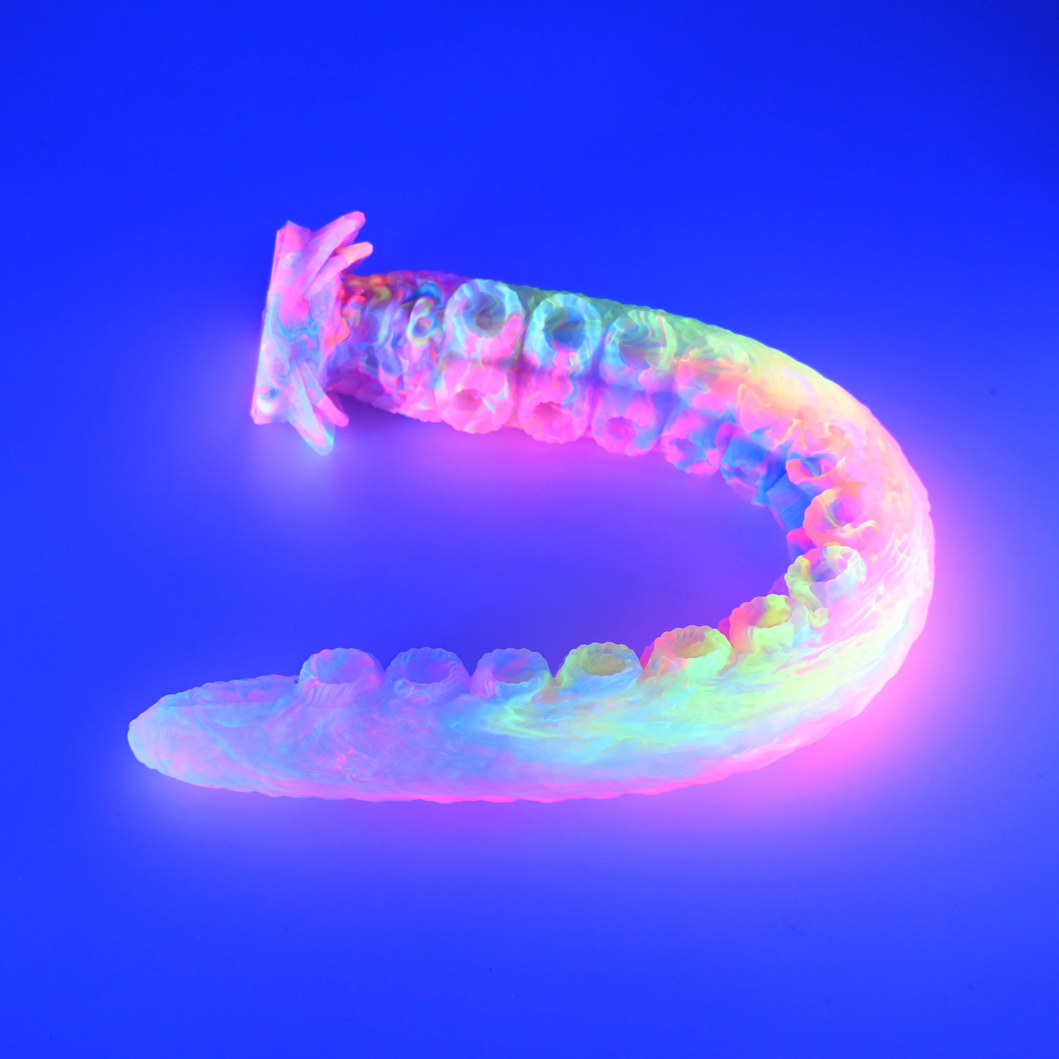 E4THK58 Illex Large NC 0031 UV CS - Image 4