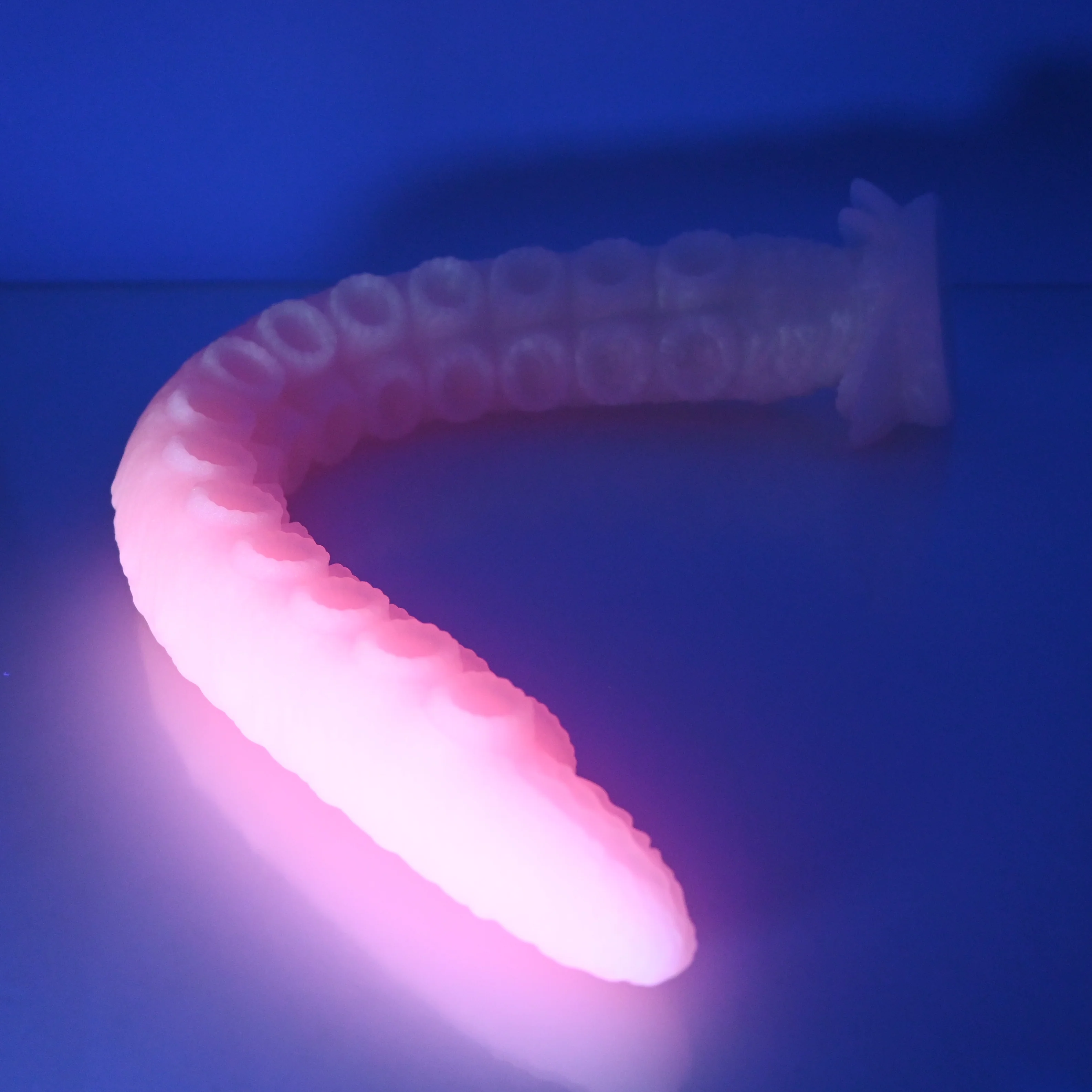 E4MFC05 Illex Large 0050 UV GITD - Image 3