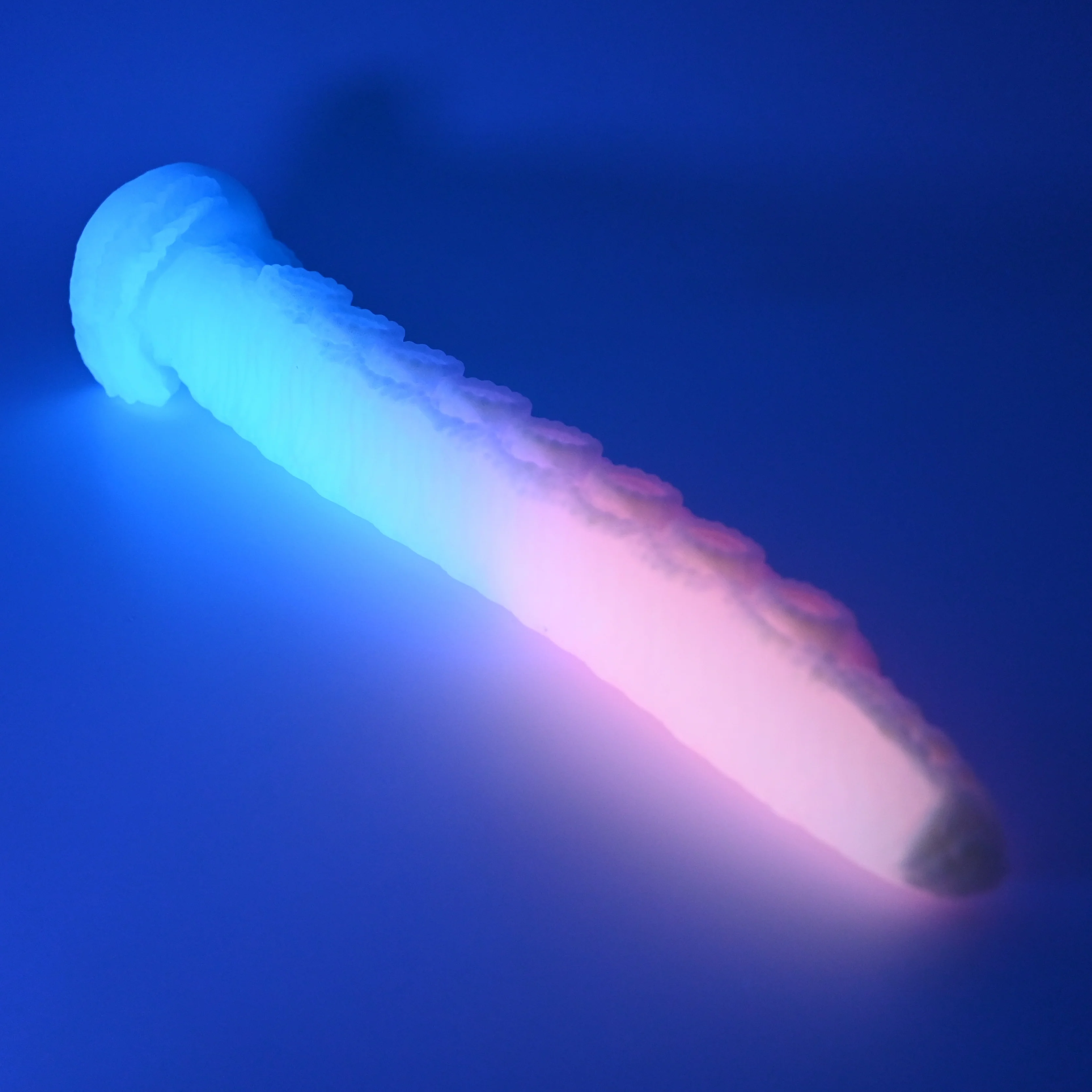 E3XGM60 Illex Medium 0020 UV GITD - Image 3