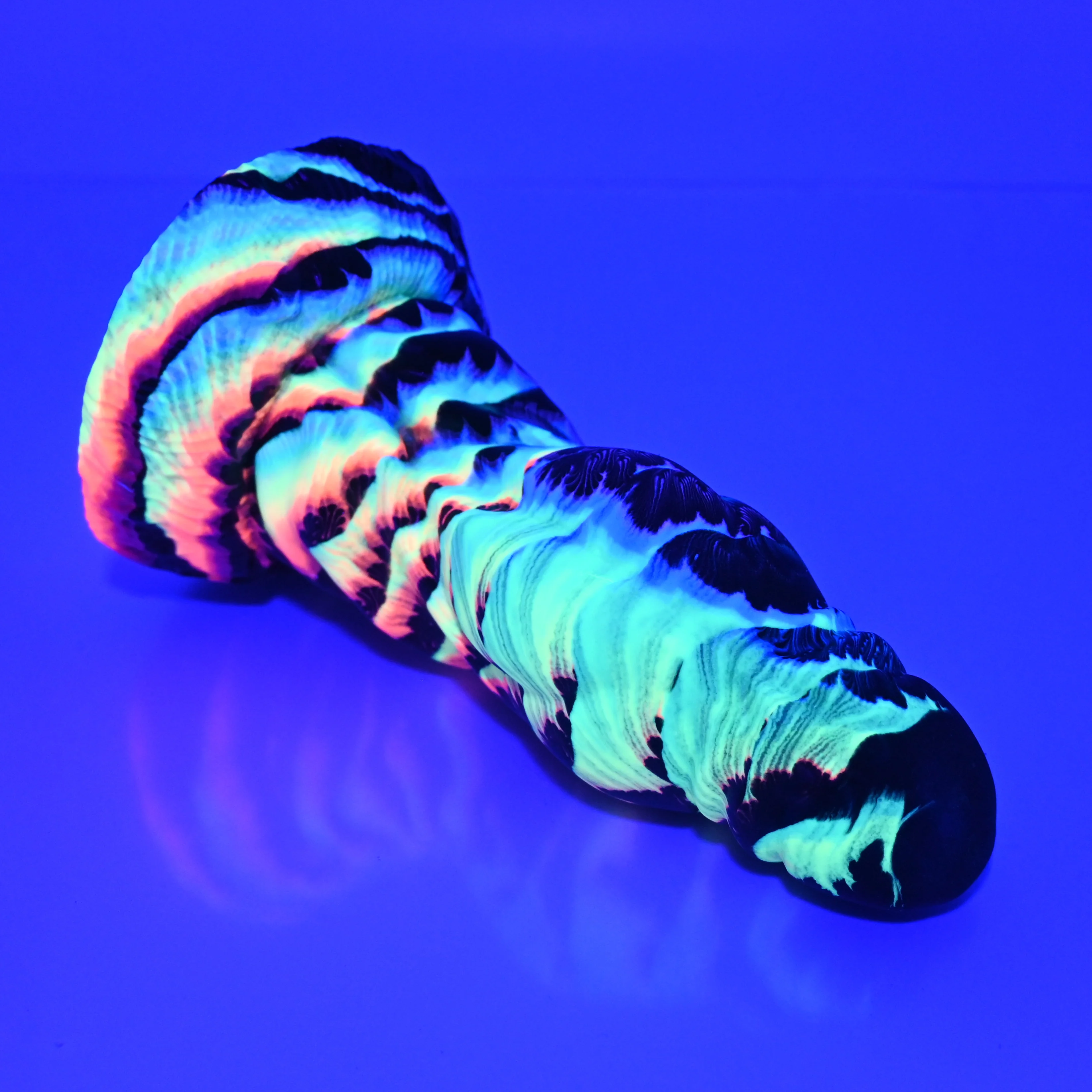 J3SBF39 Jupiter Medium Soft UV GITD - Image 4