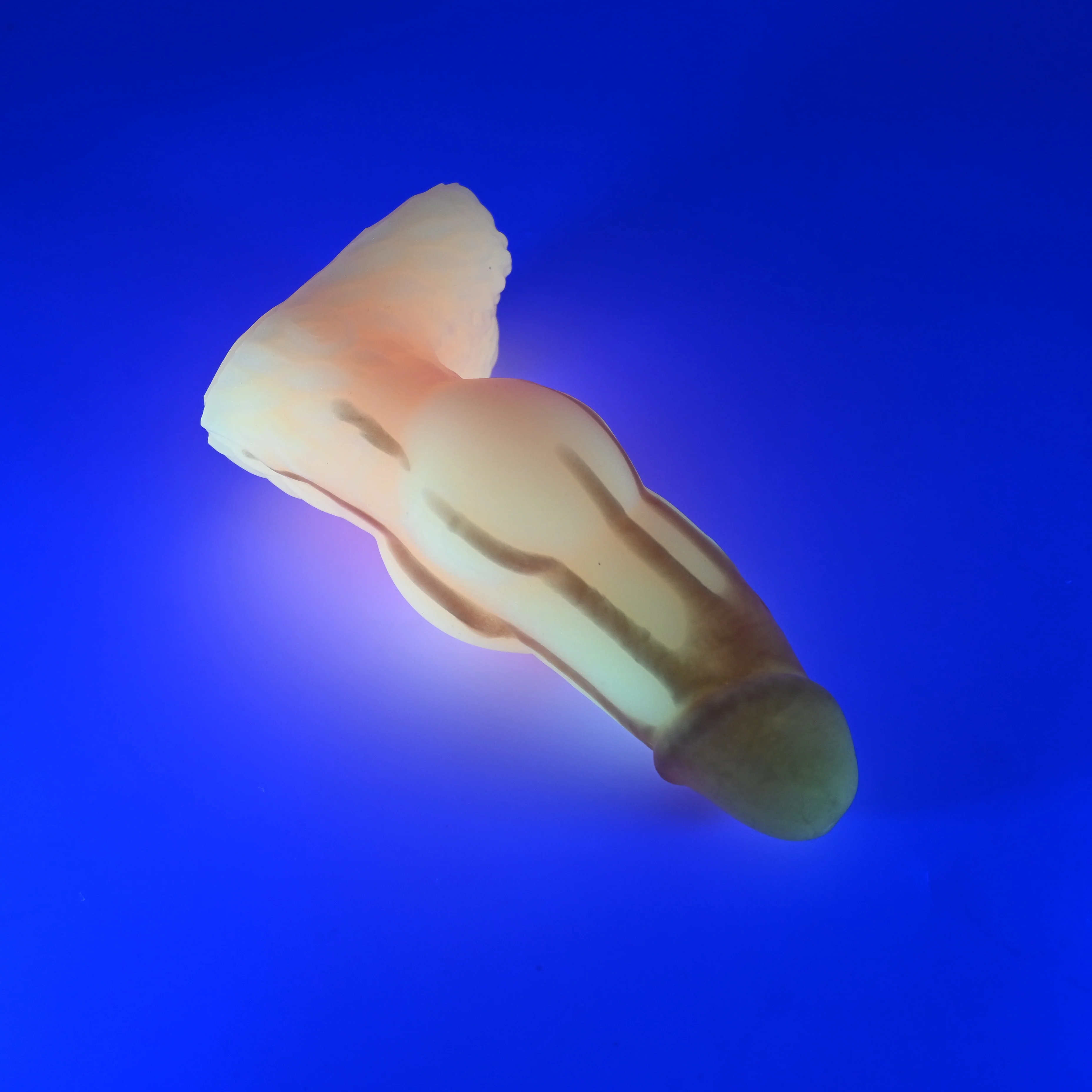 52MJF33 Jacob Small 0050 UV GITD - Image 3
