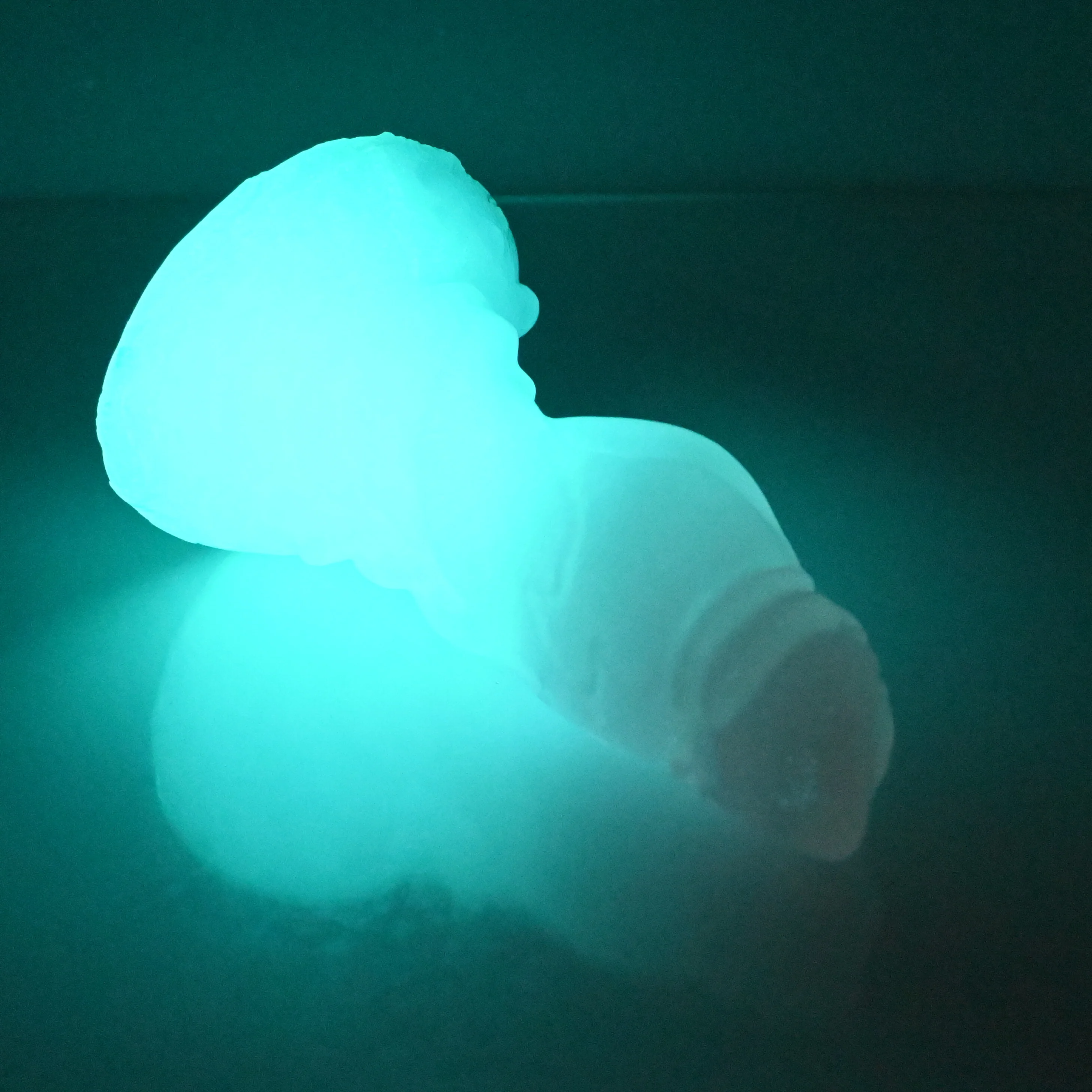 J2TBY22 Jupiter Small NC 0031 UV GITD - Image 4