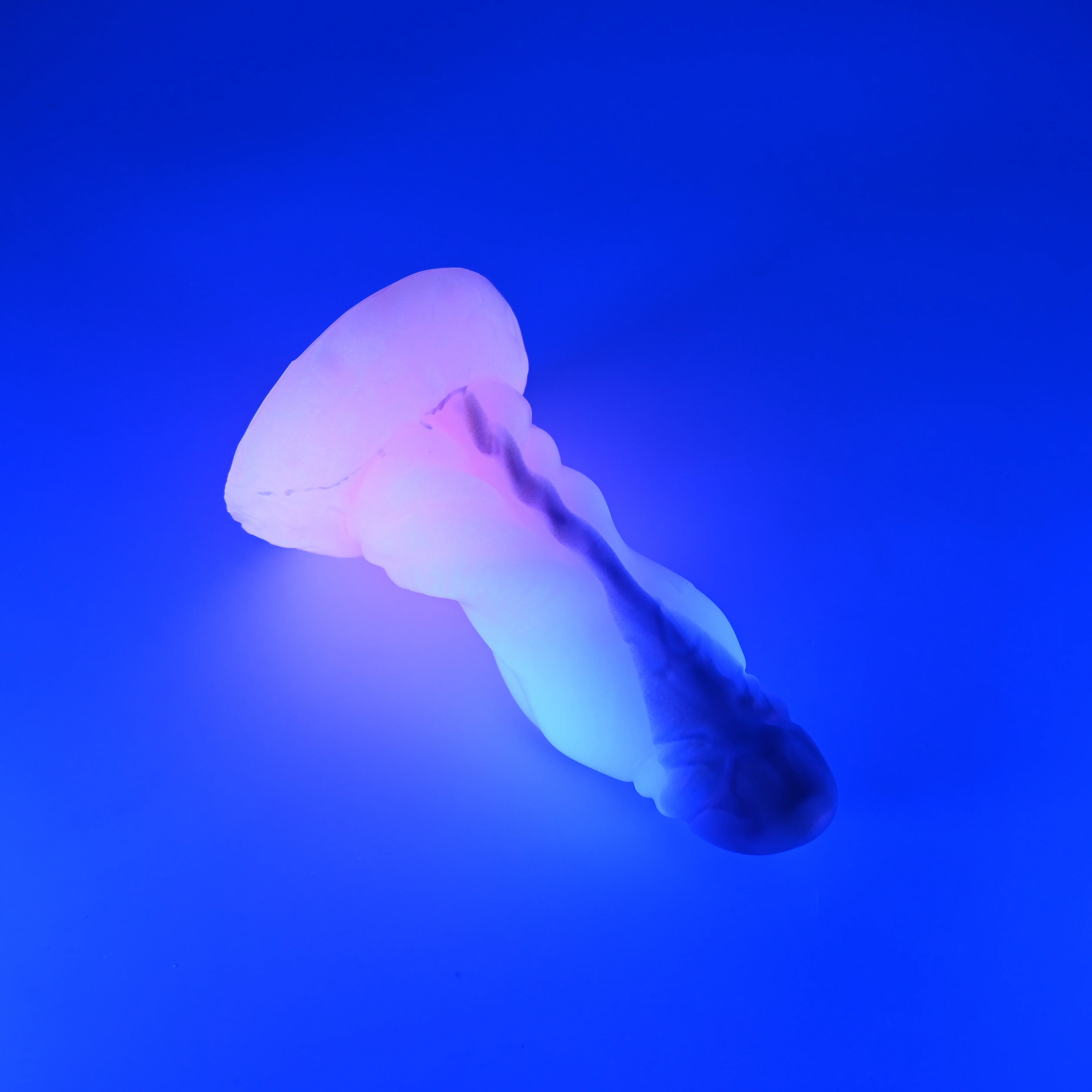 J2XJH55 Jupiter Small 0020 UV GITD CS - Image 3